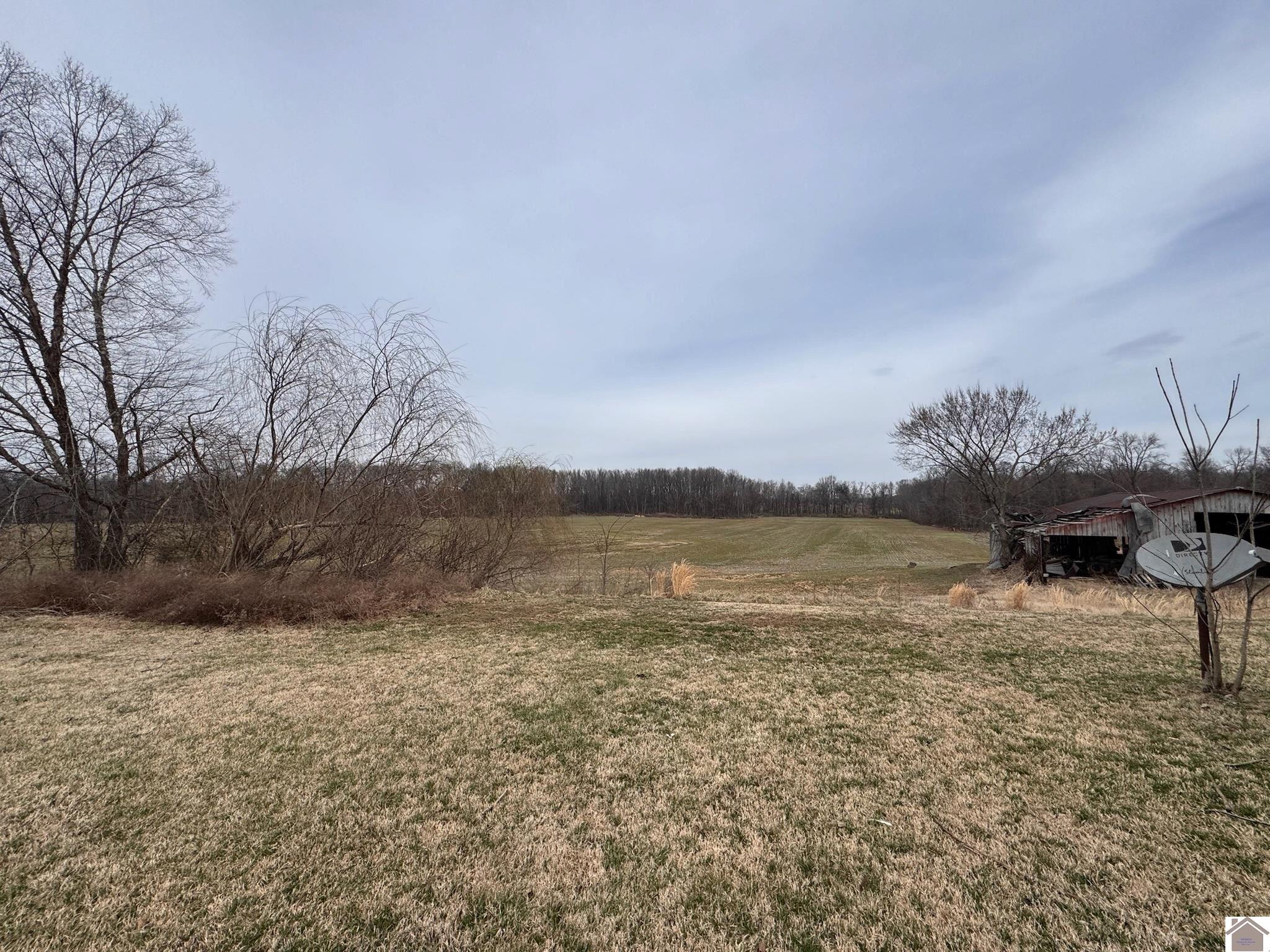 556 Mercy Drive