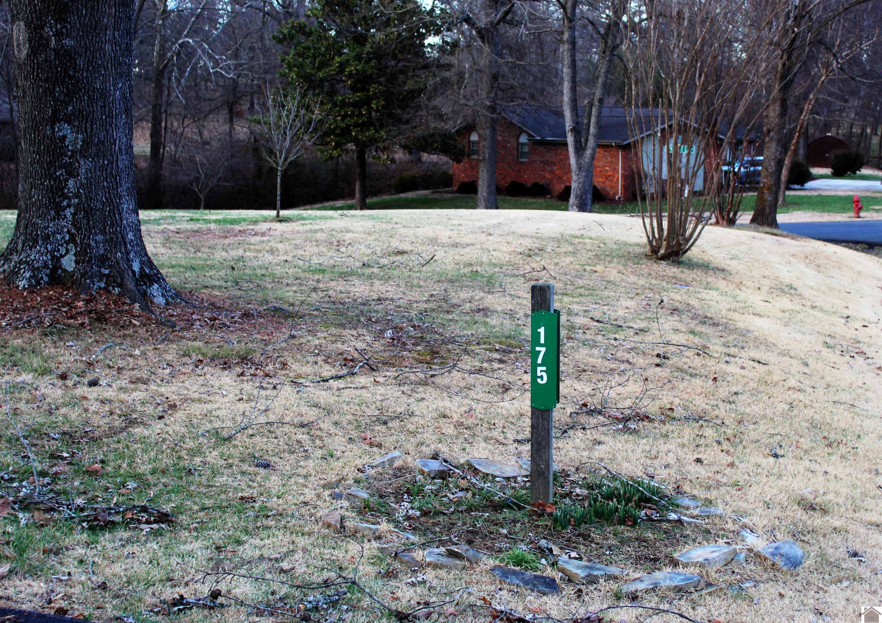175 Skylark Drive