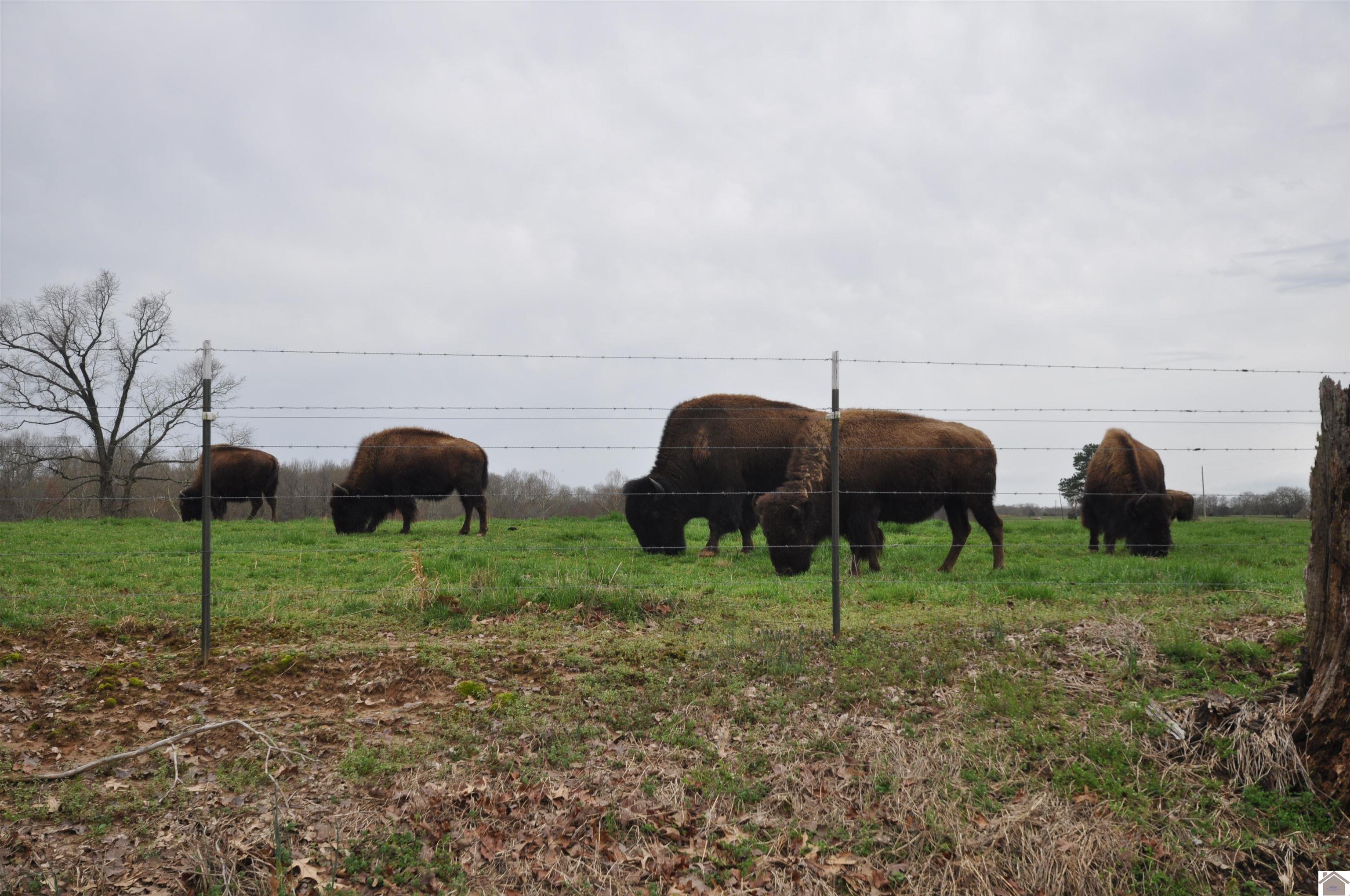 00 Weekend Ln, Lot 46