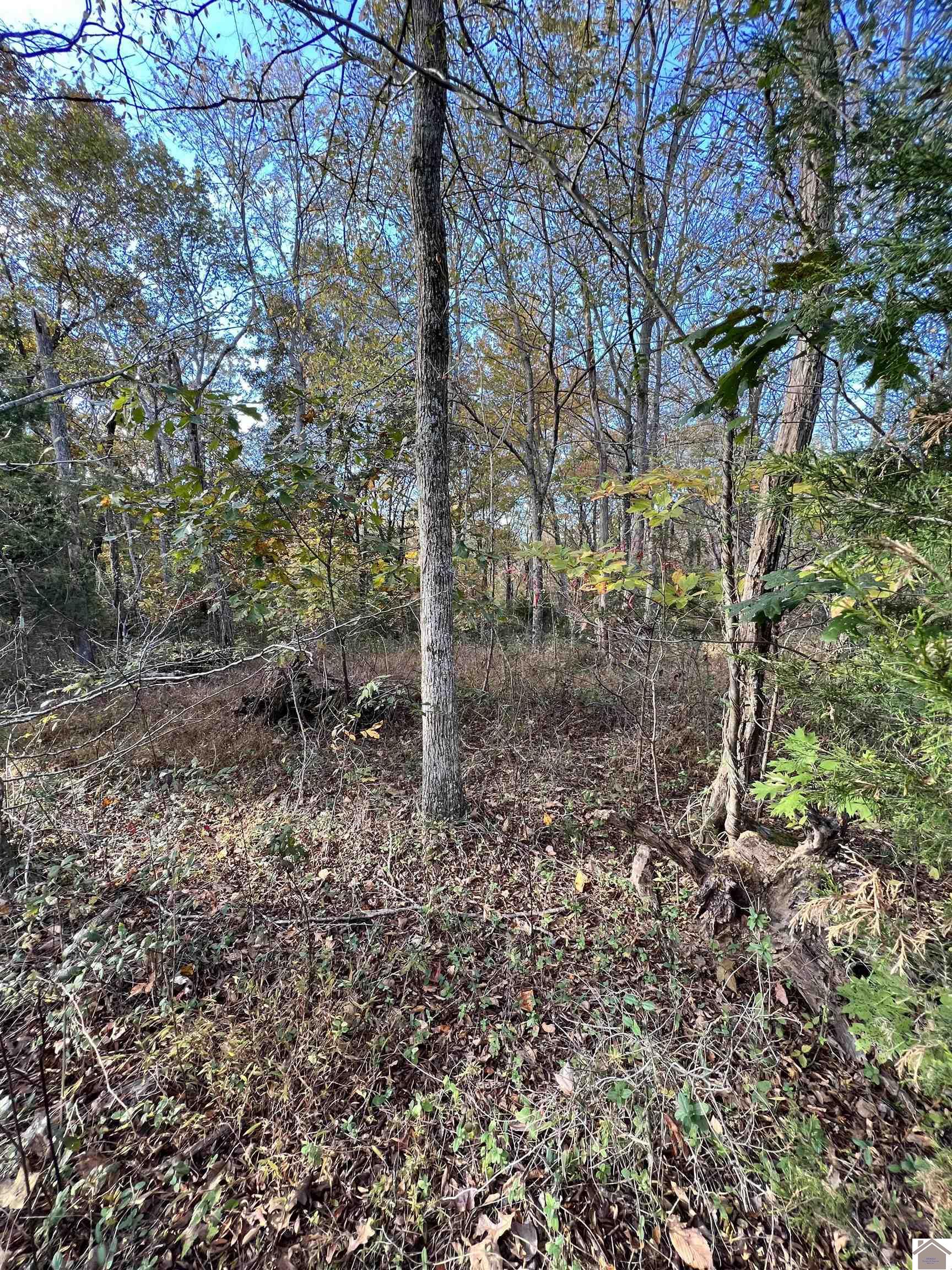 00 Weekend Ln, Lot 46