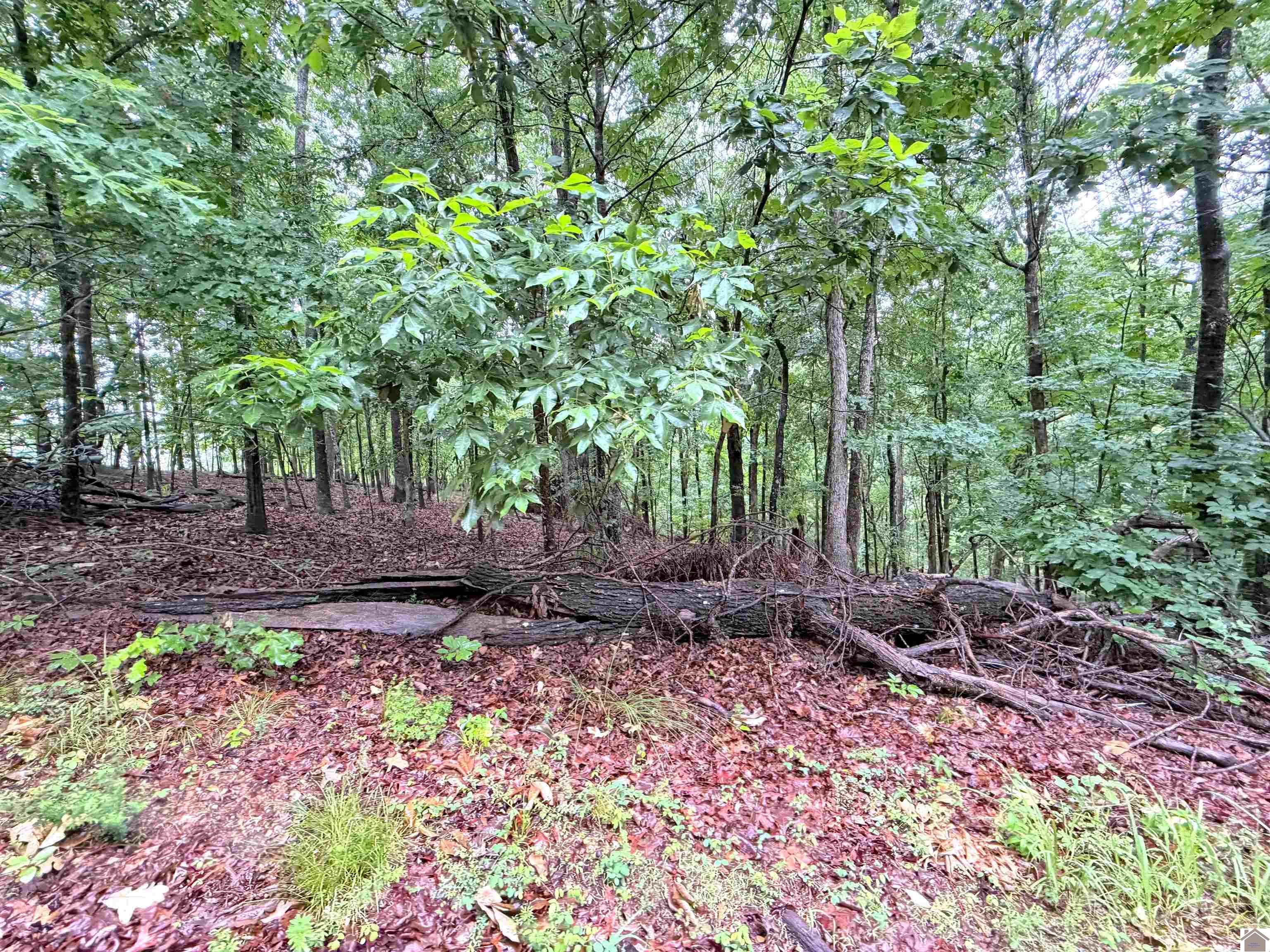00 Daniel Lane/Overlook Drive Unit: Howard Subdivision, Lots 29-31