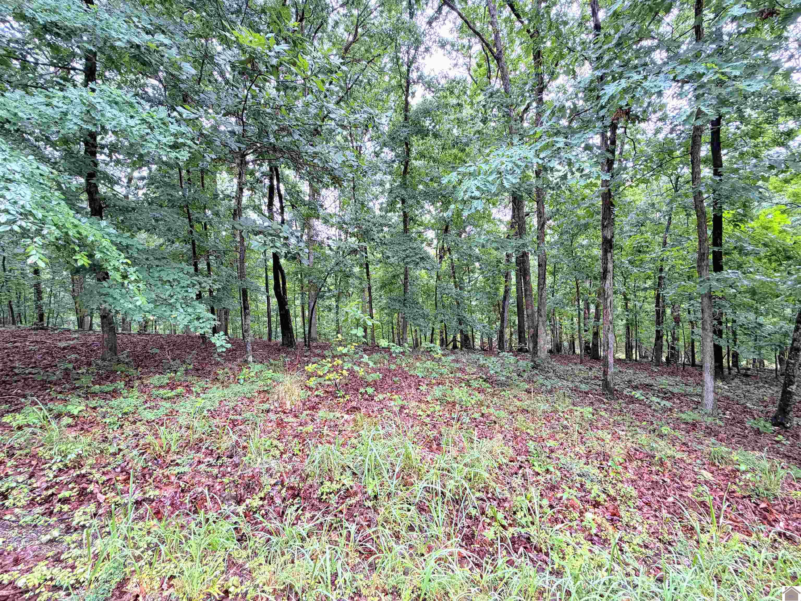 00 Daniel Lane/Overlook Drive Unit: Howard Subdivision, Lots 29-31