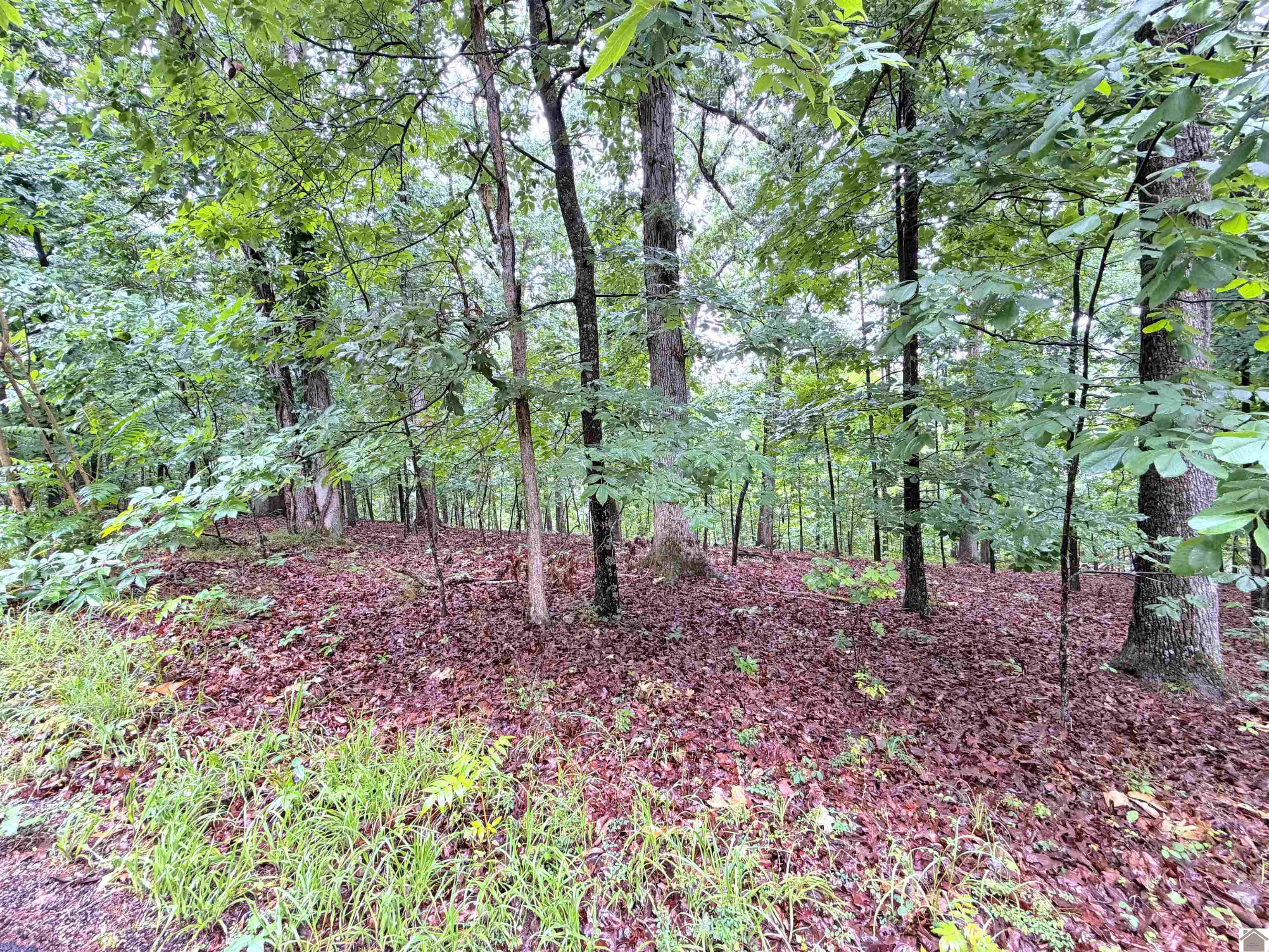 00 Daniel Lane/Overlook Drive Unit: Howard Subdivision, Lots 29-31