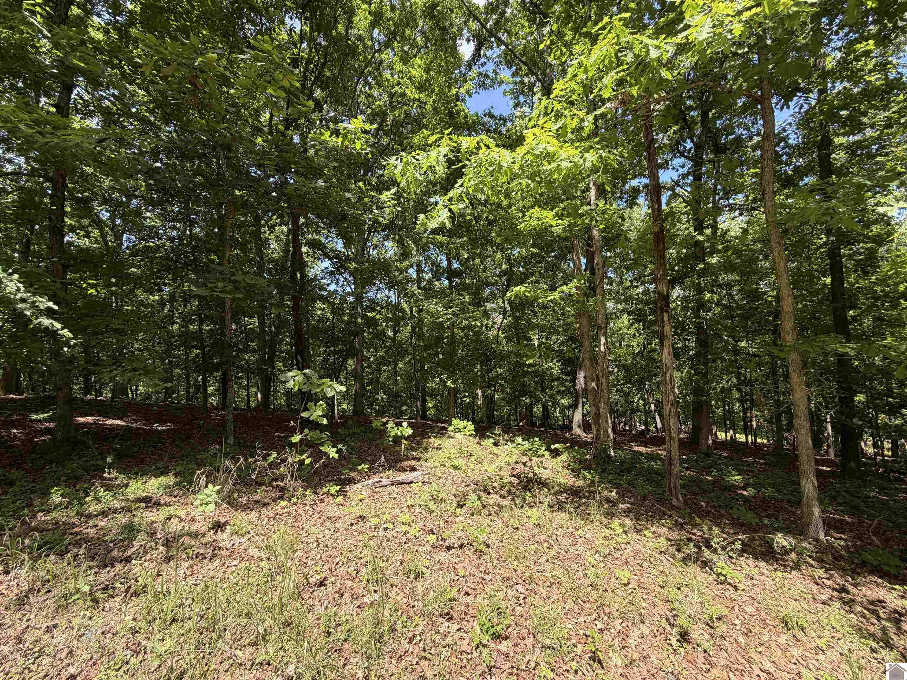 00 Daniel Lane/Overlook Drive Unit: Howard Subdivision, Lots 29-31