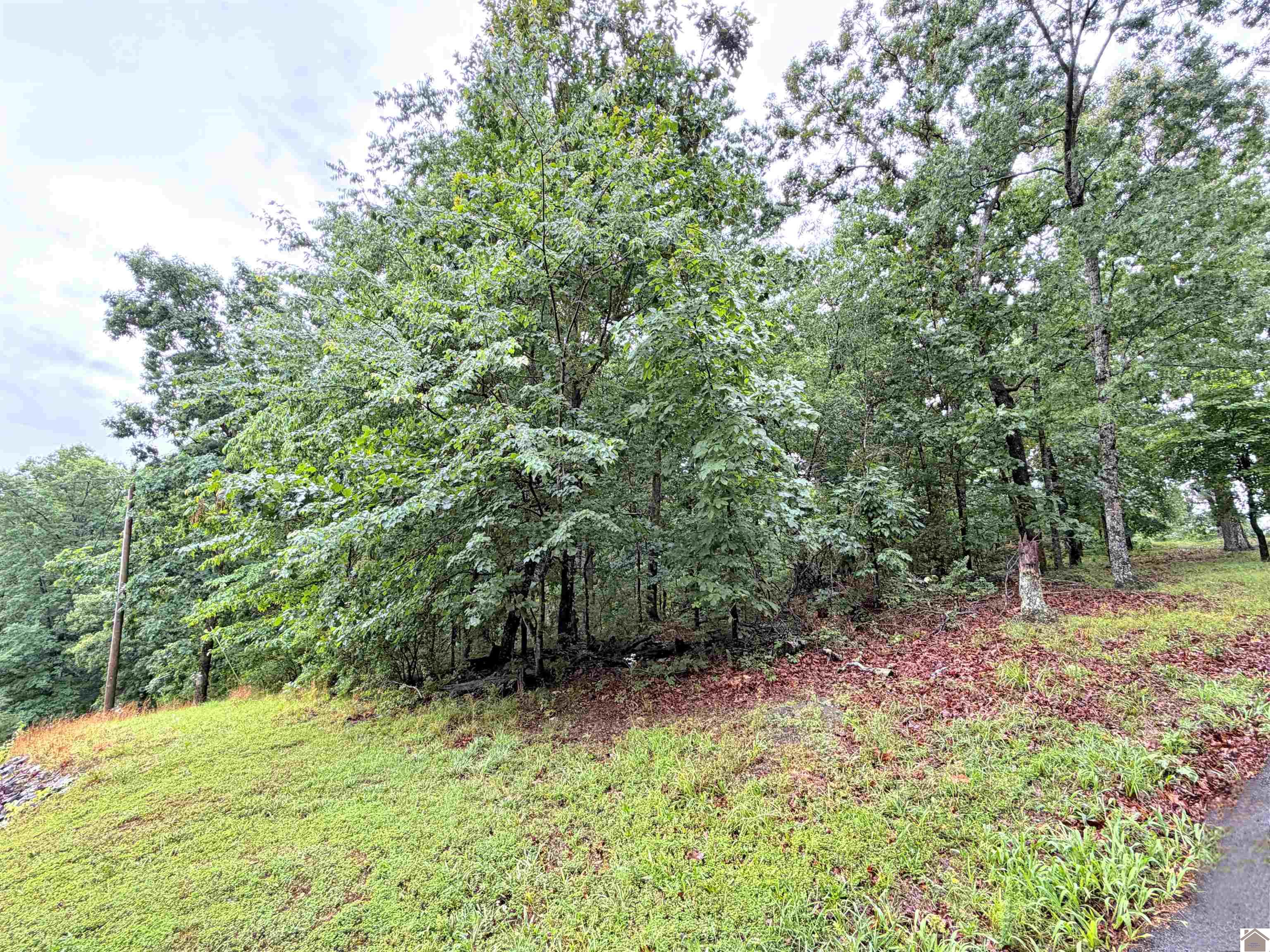 00 Daniel Lane/Overlook Drive Unit: Howard Subdivision, Lots 29-31