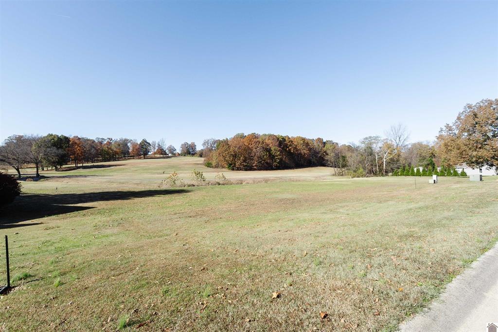 Lot 12 Fairway Dr