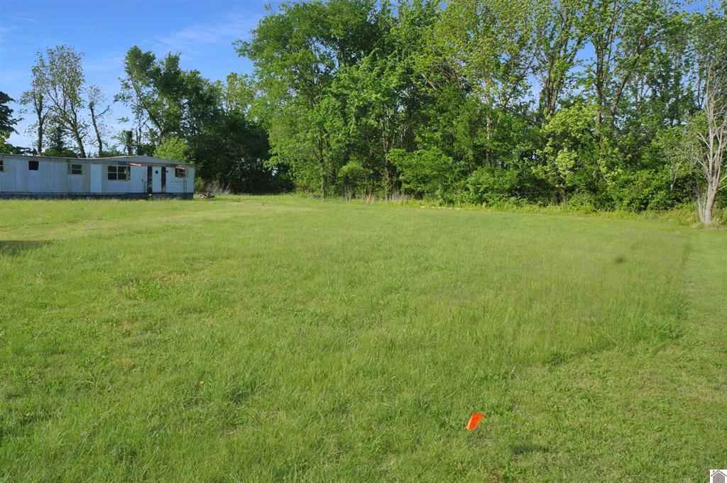 222 Almo Road