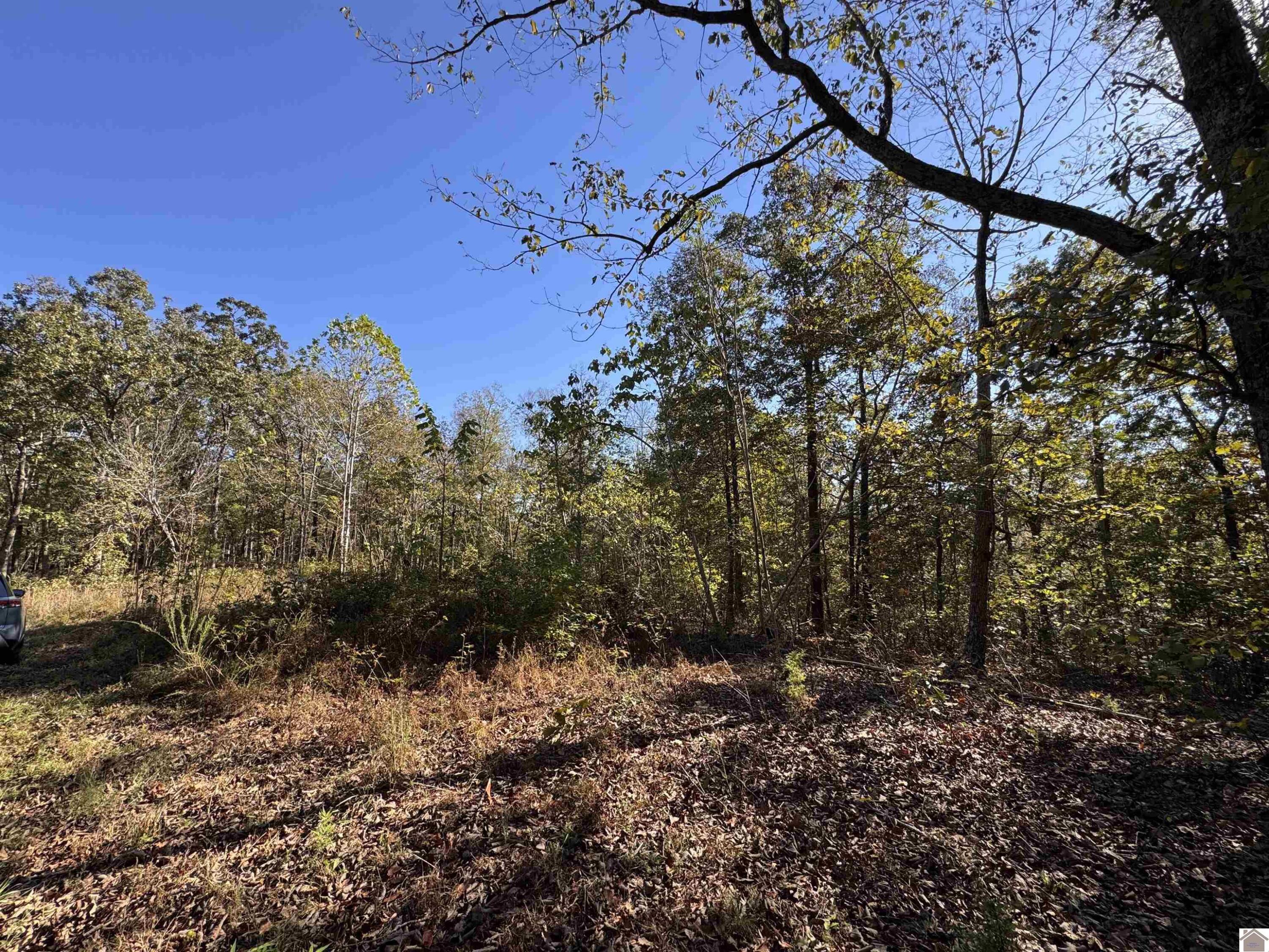 00 Ridge Road