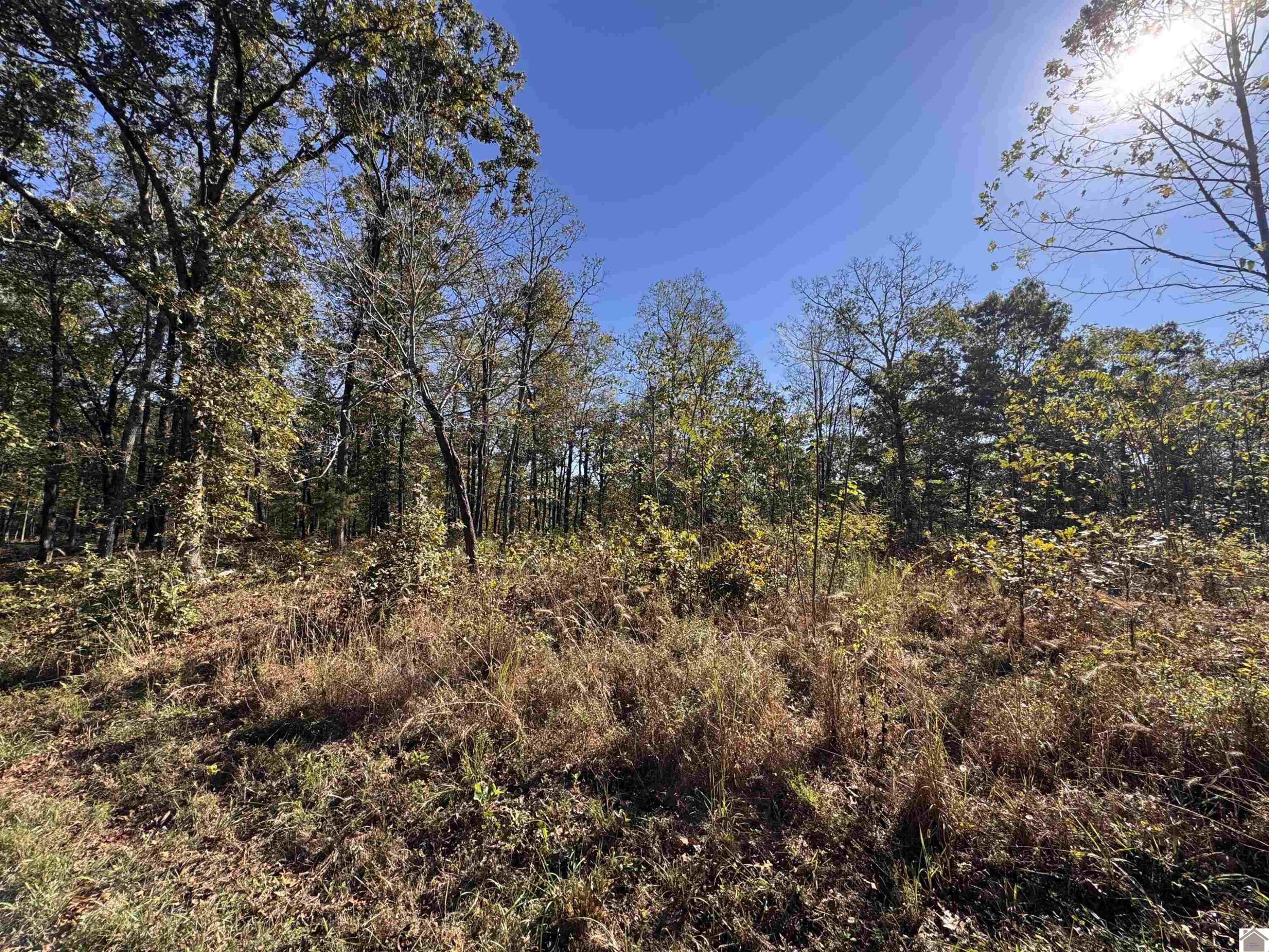 00 Ridge Road