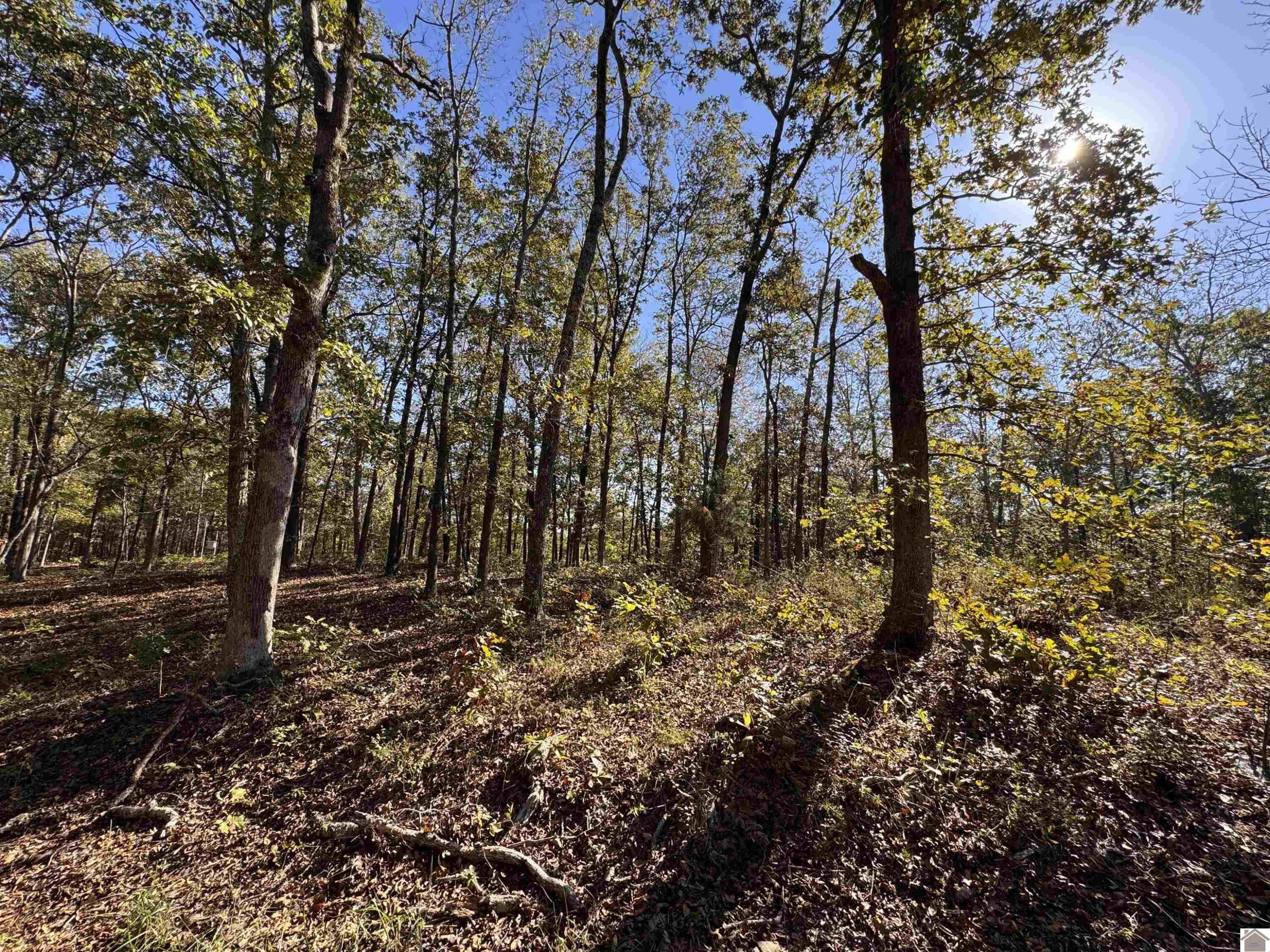 00 Ridge Road