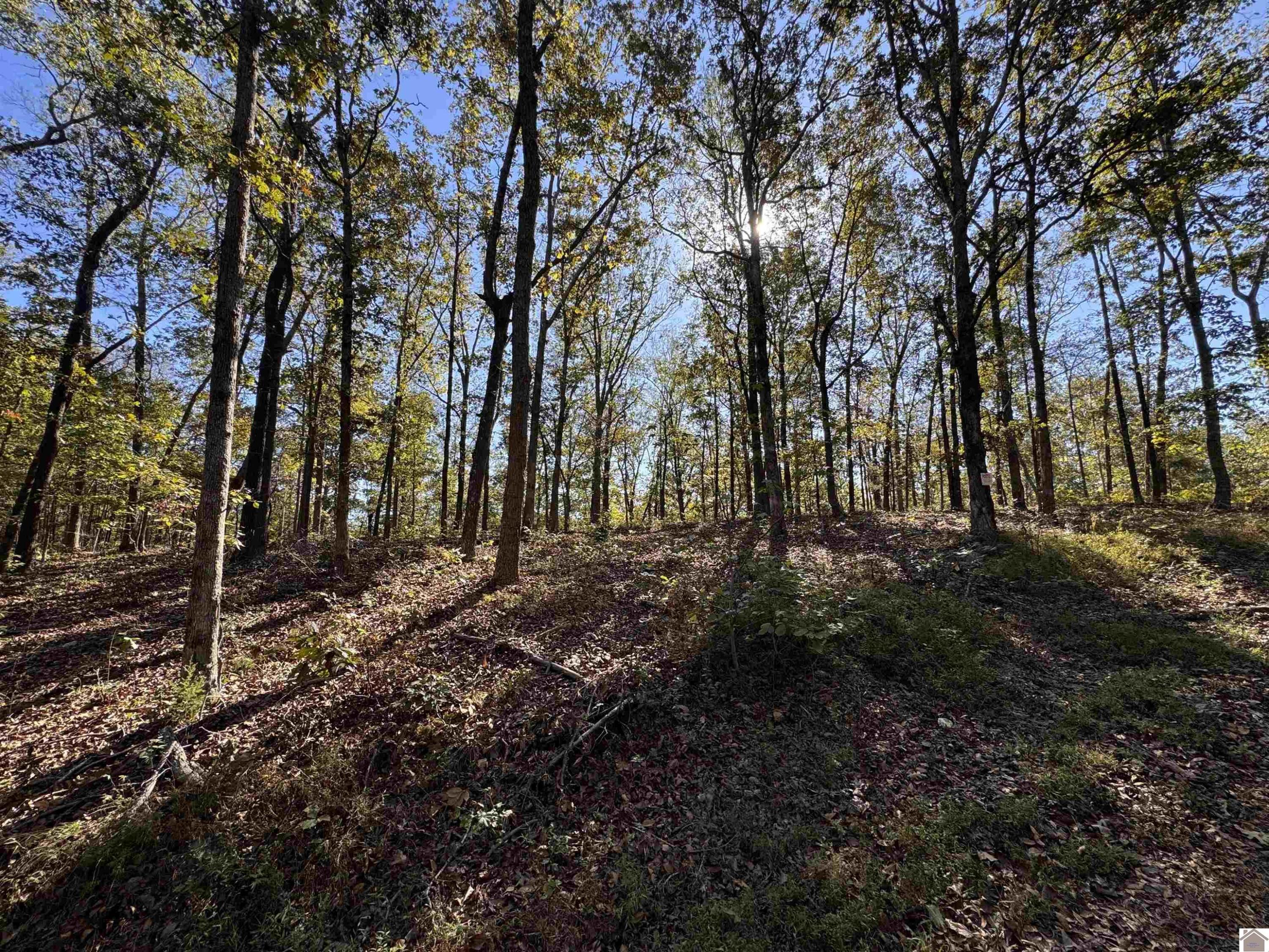 00 Ridge Road