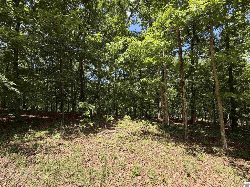 00 Daniel Ln Lane
