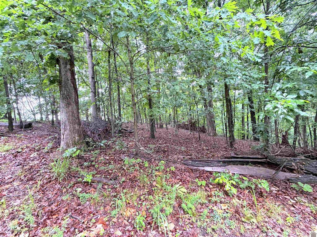 00 Daniel Ln Lane