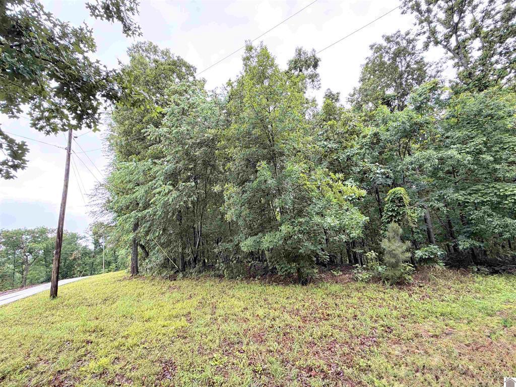 00 Daniel Ln Lane