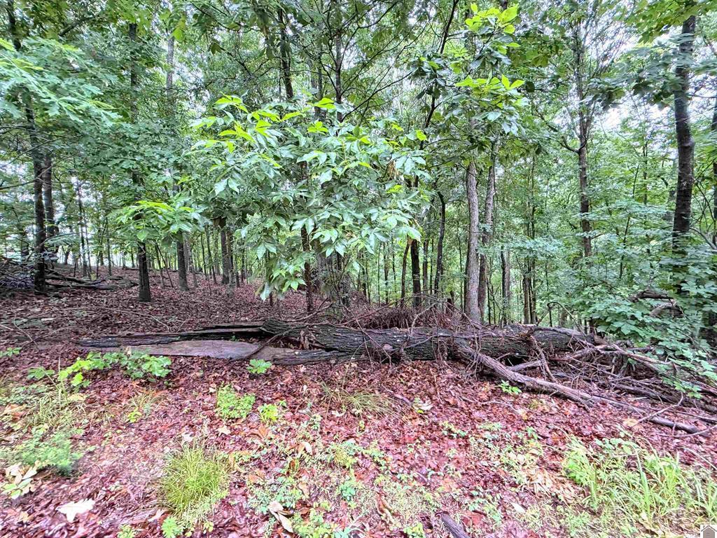 00 Daniel Ln Lane