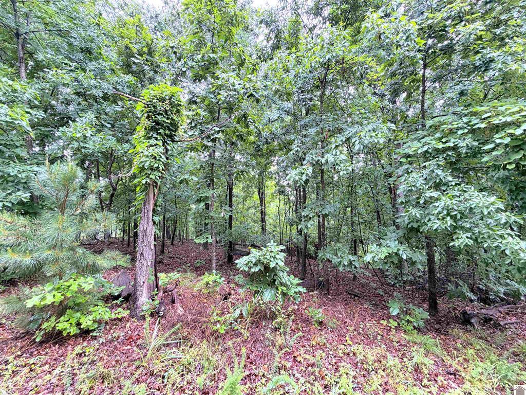 00 Daniel Ln Lane