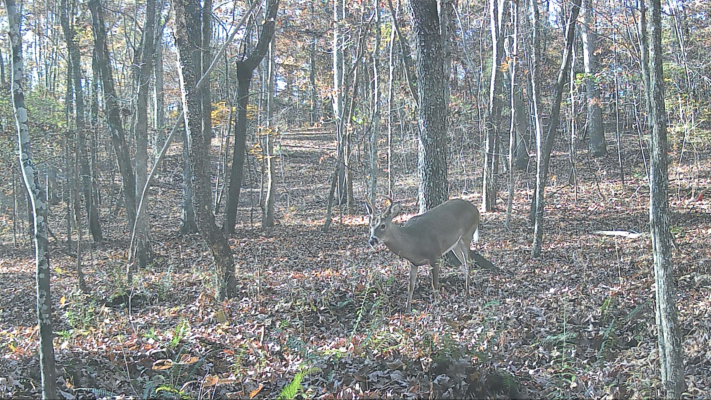 096-D-0002 Beat Farmer Road