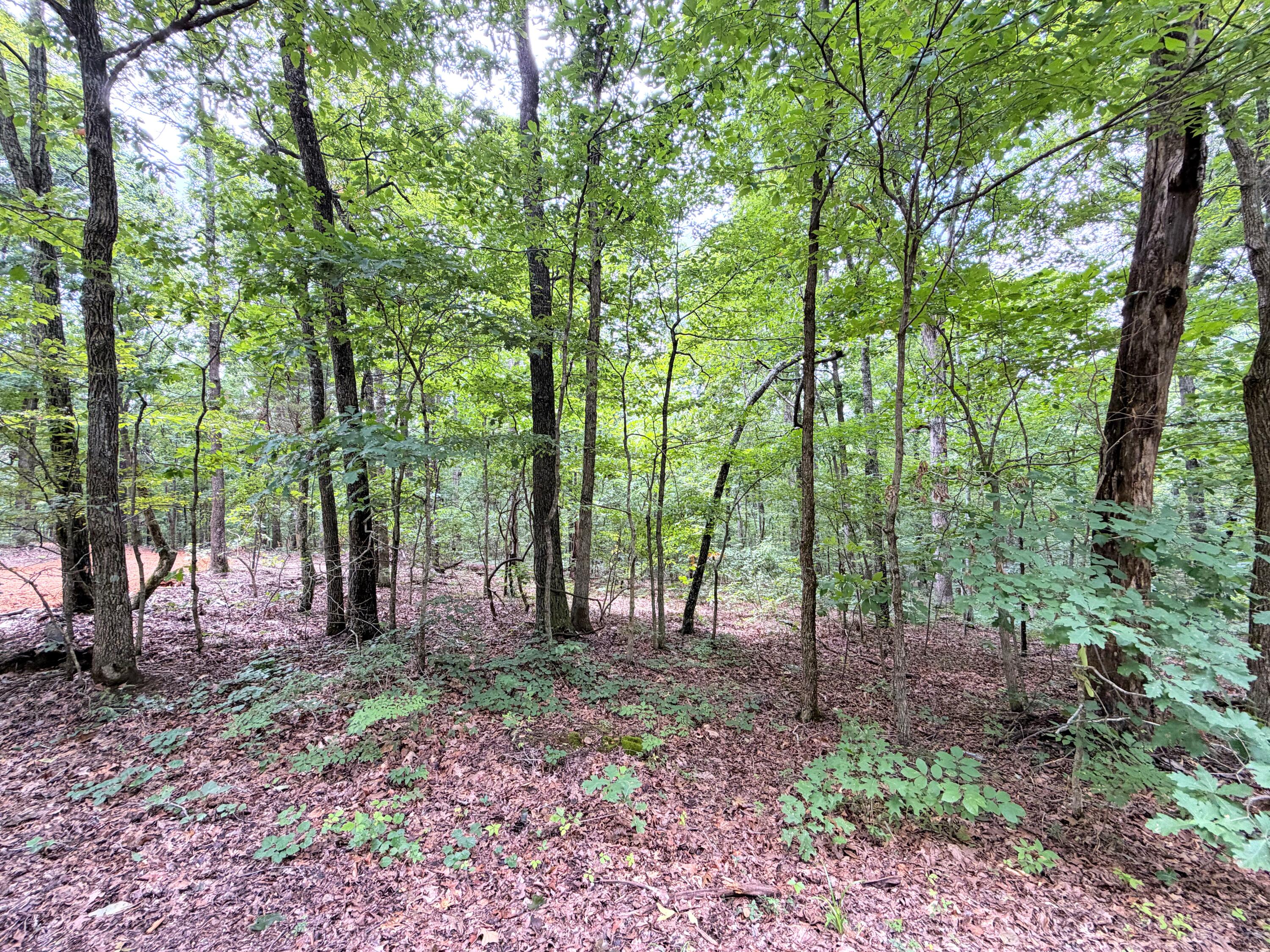 096-D-0002 Beat Farmer Road