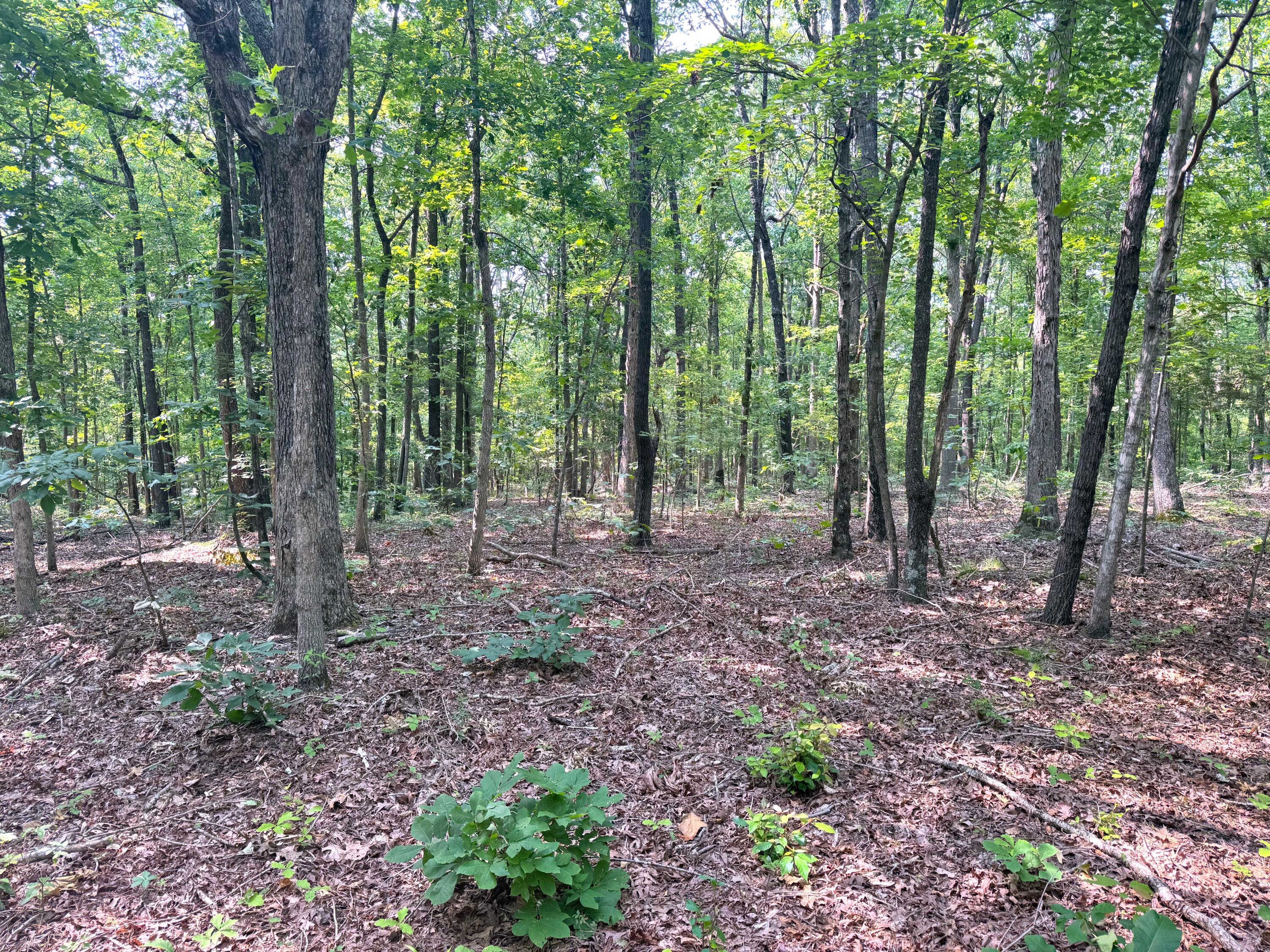 096-D-0002 Beat Farmer Road