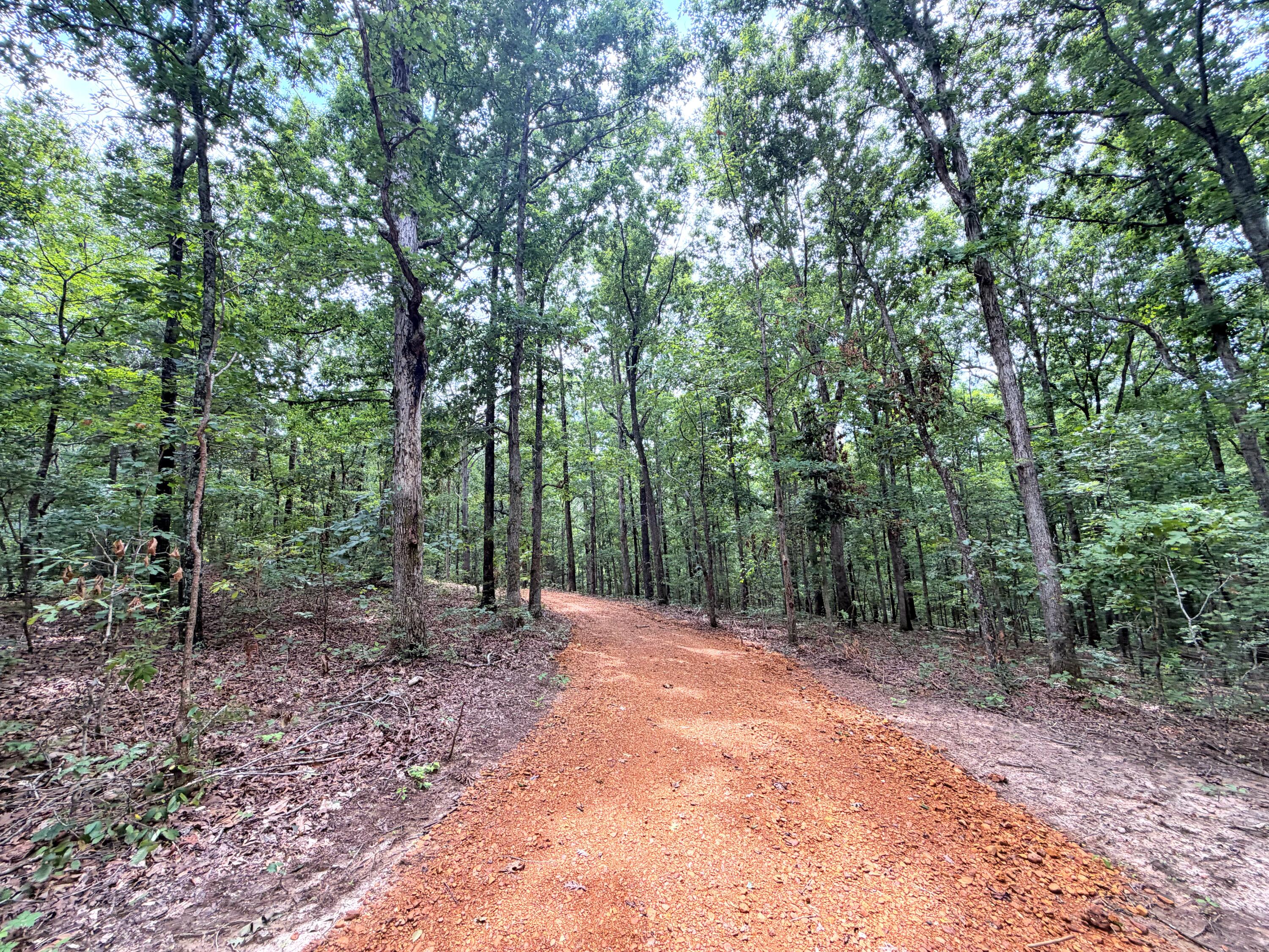 096-D-0002 Beat Farmer Road