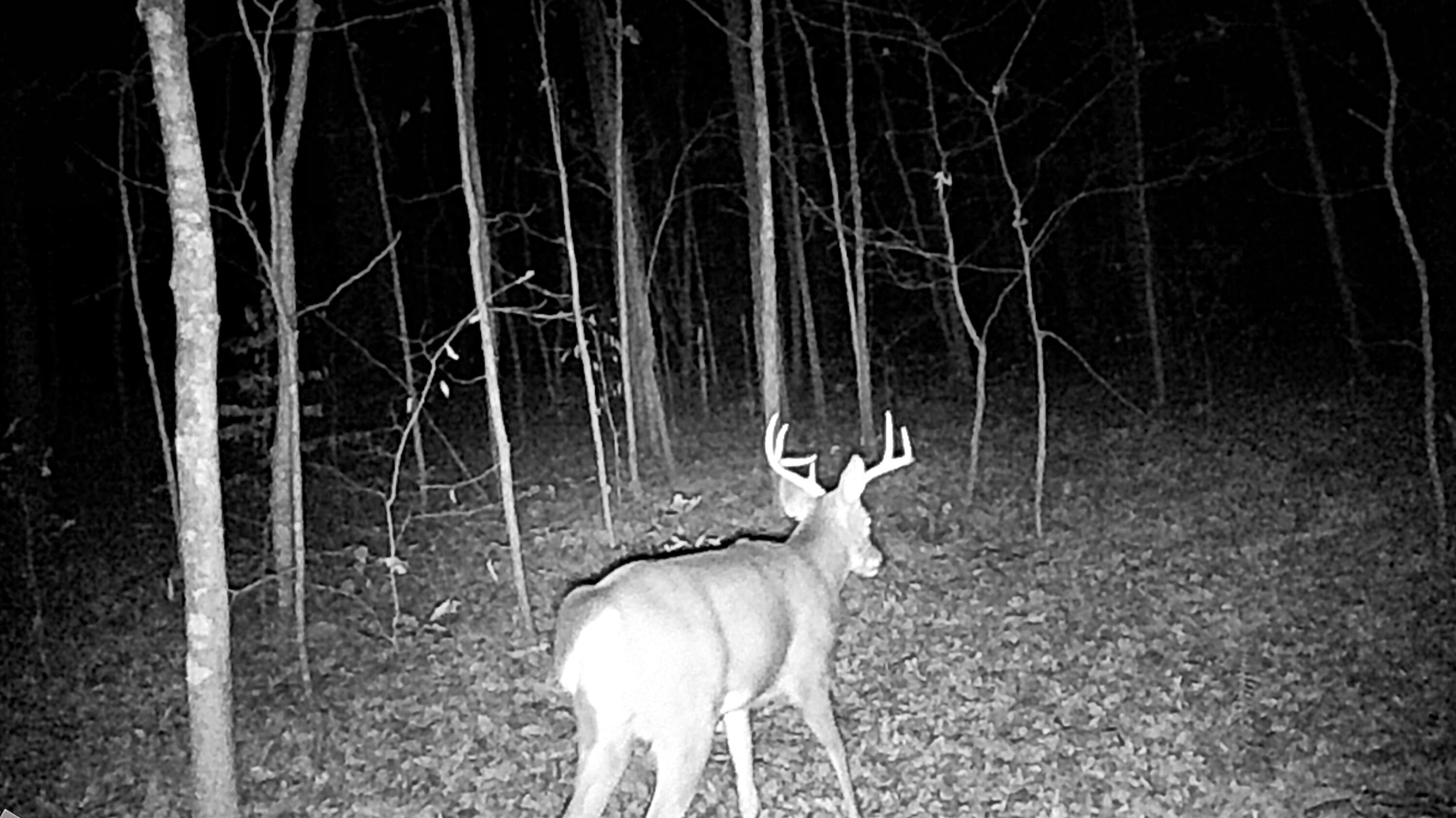 096-D-0002 Beat Farmer Road