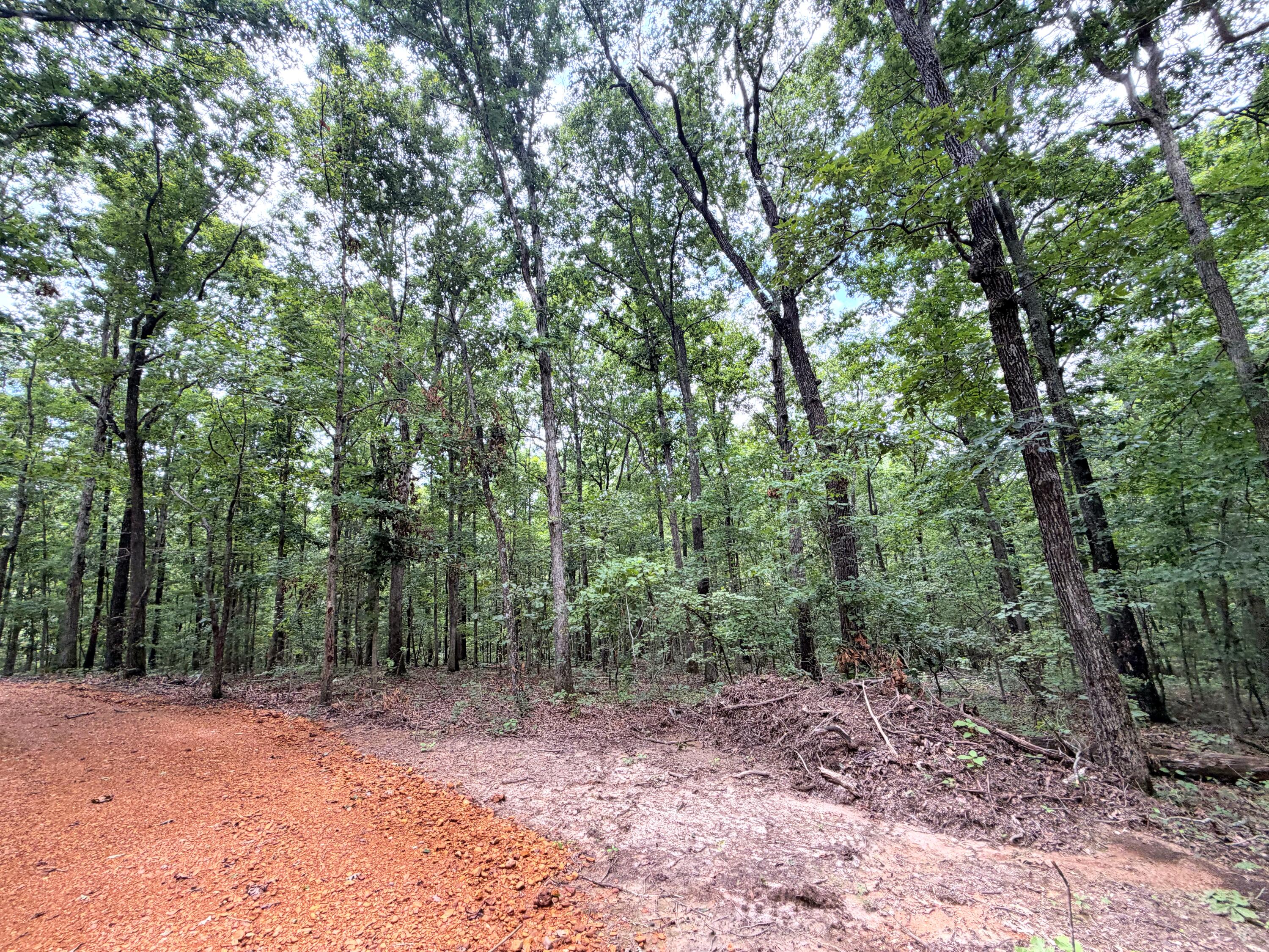096-D-0002 Beat Farmer Road