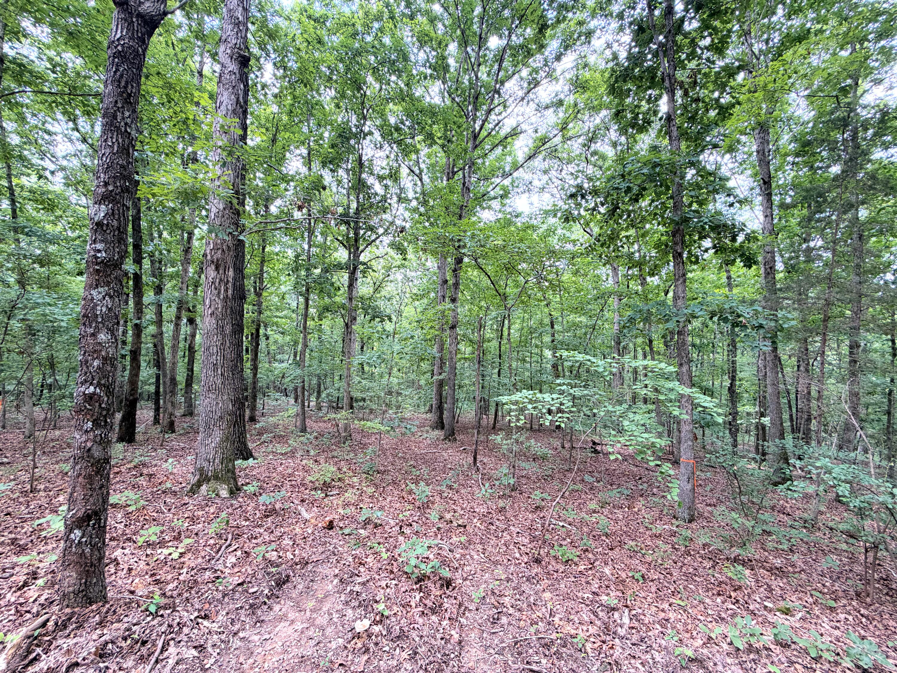 096-D-0002 Beat Farmer Road