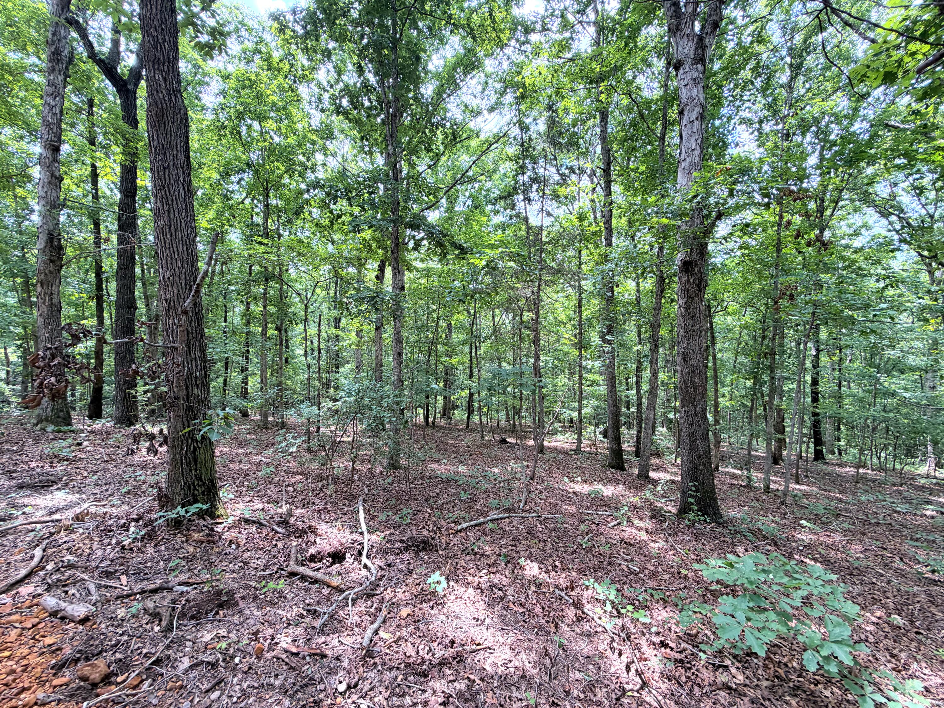 096-D-0002 Beat Farmer Road