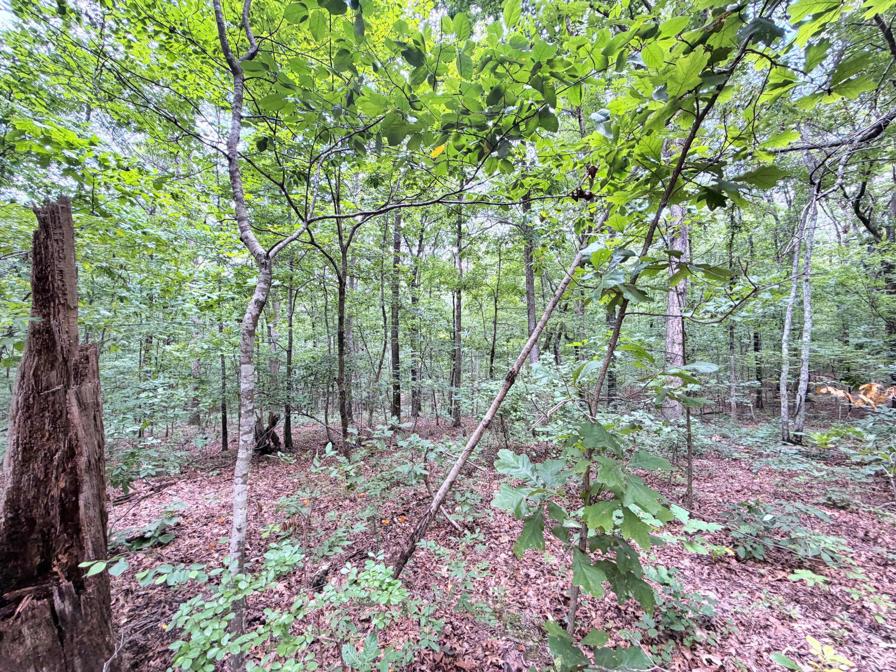 096-D-0002 Beat Farmer Road