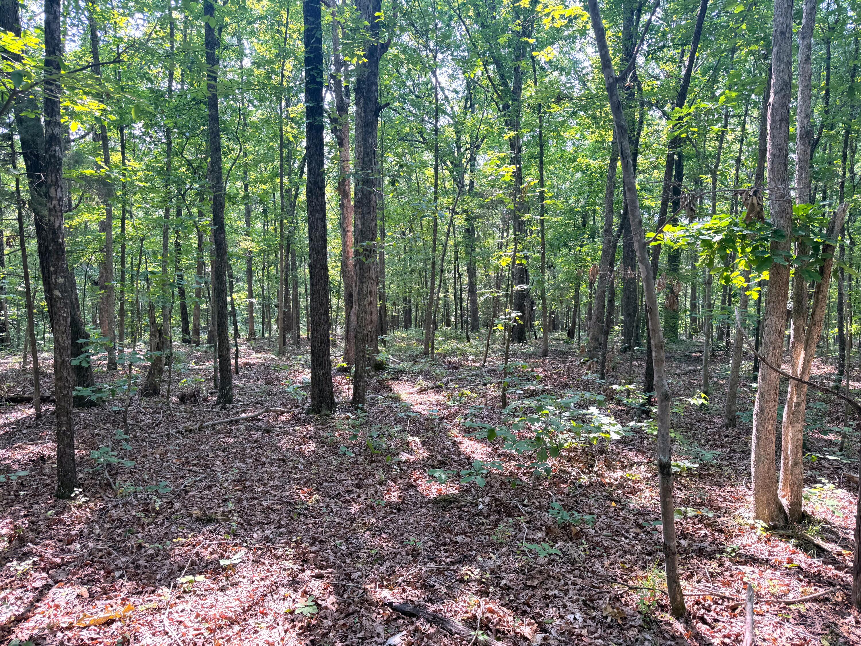 096-D-0002 Beat Farmer Road