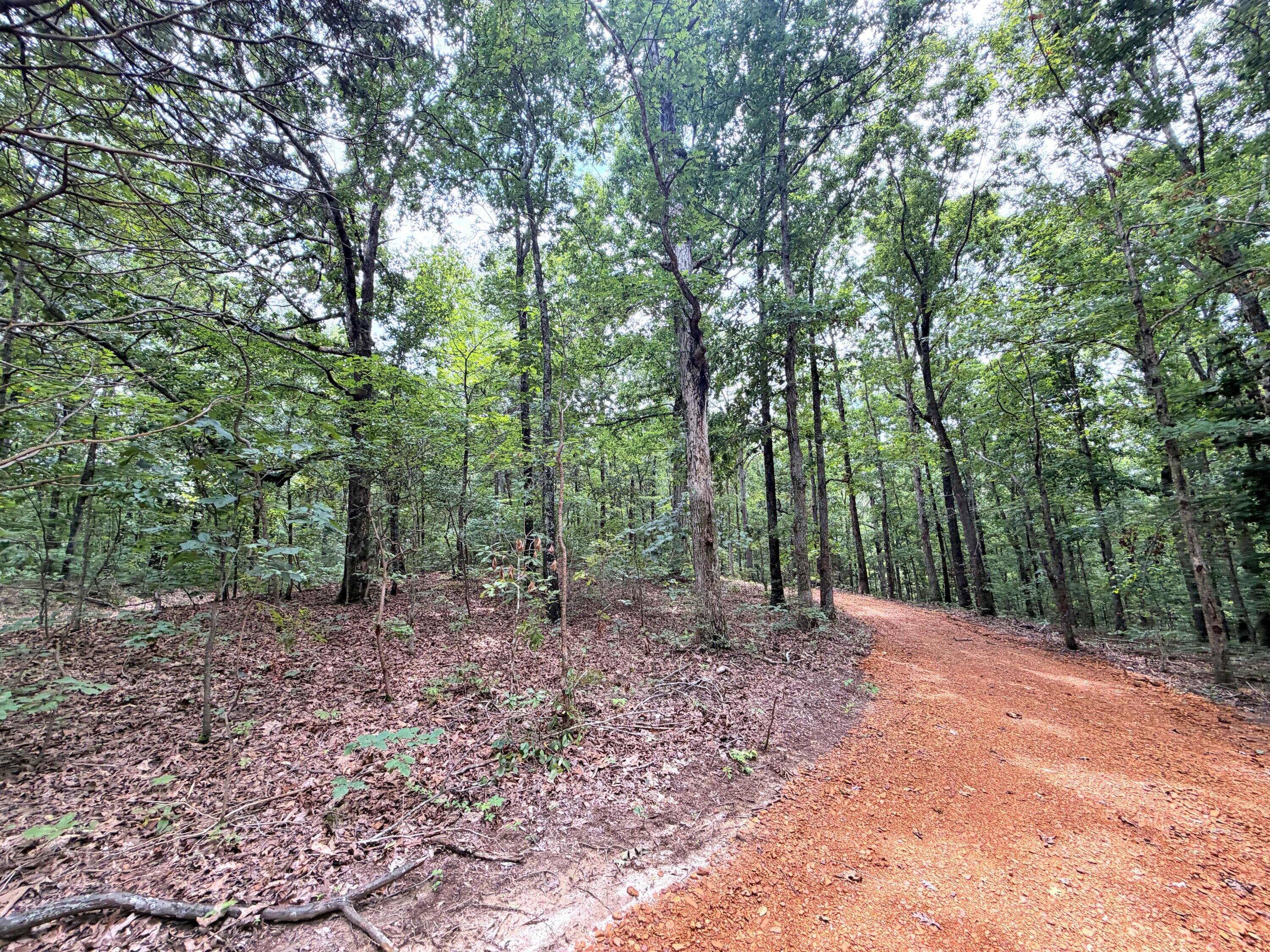 096-D-0002 Beat Farmer Road