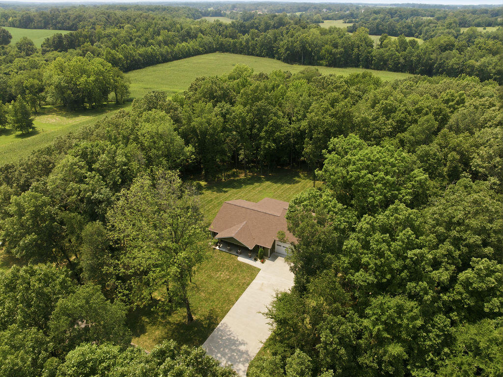 91 Cody Drive
