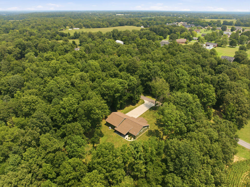 91 Cody Drive