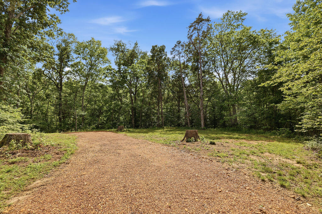 570 Bobcat Trail