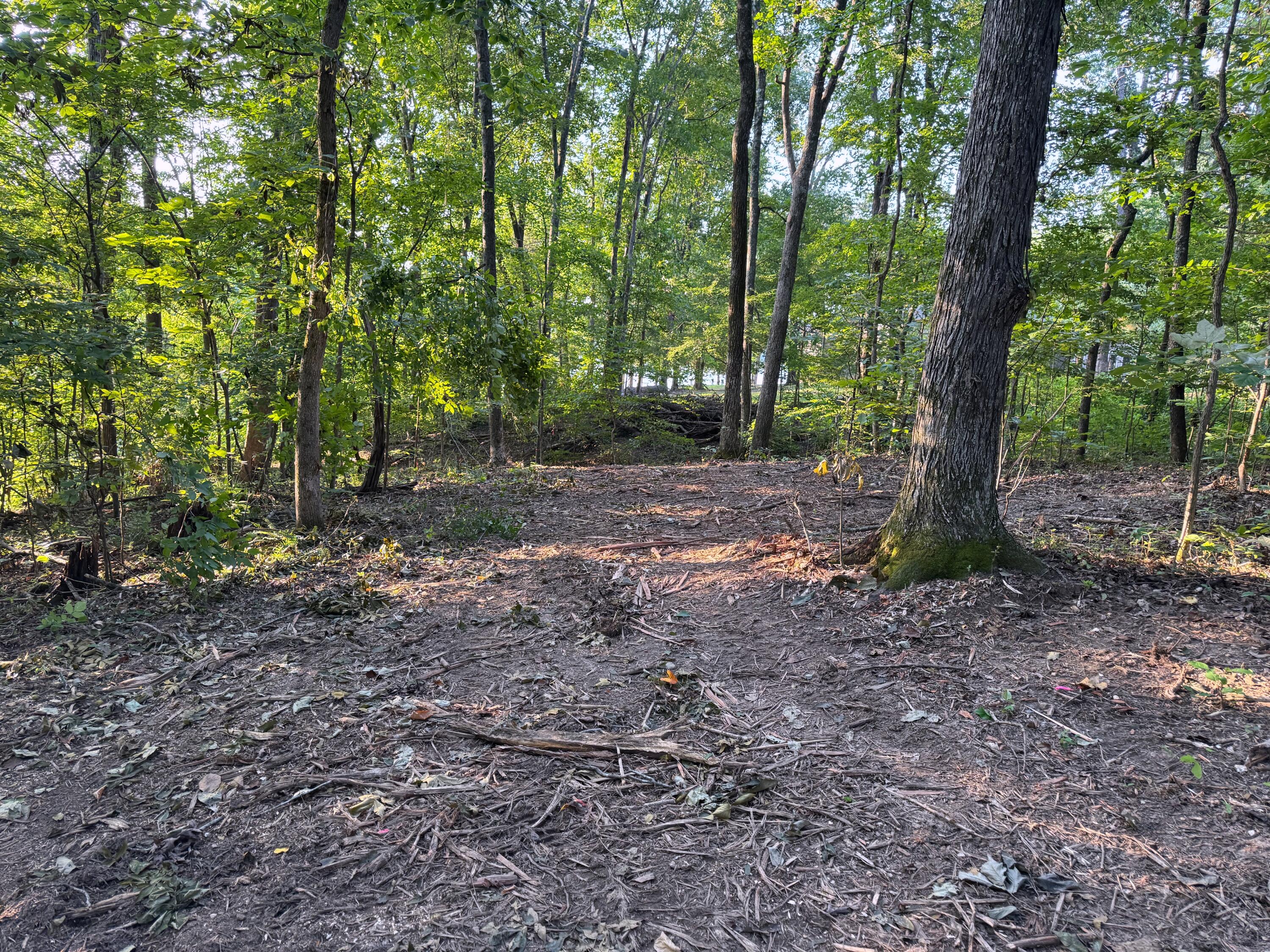 570 Bobcat Trail
