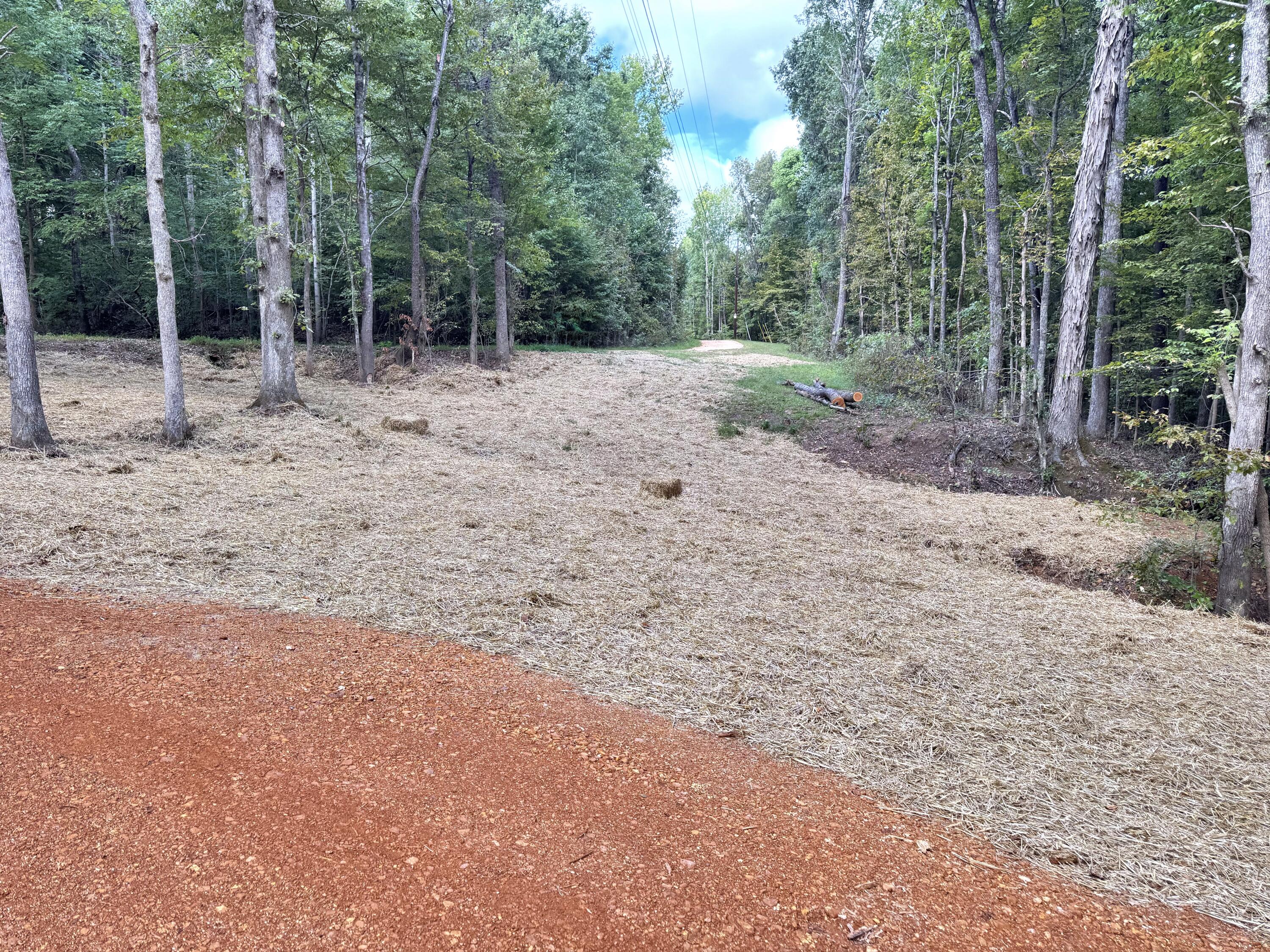 570 Bobcat Trail