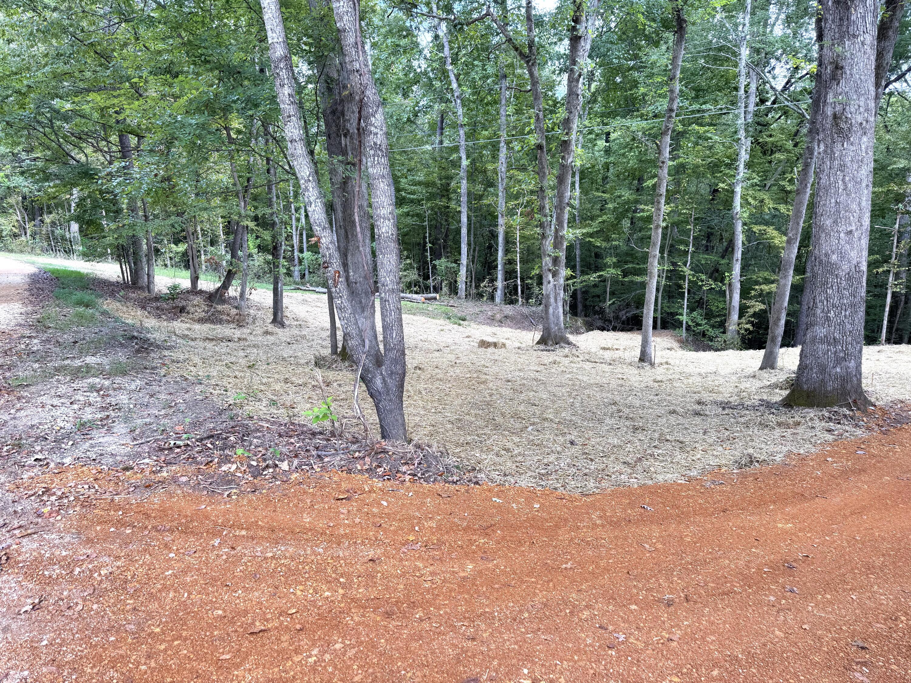 570 Bobcat Trail