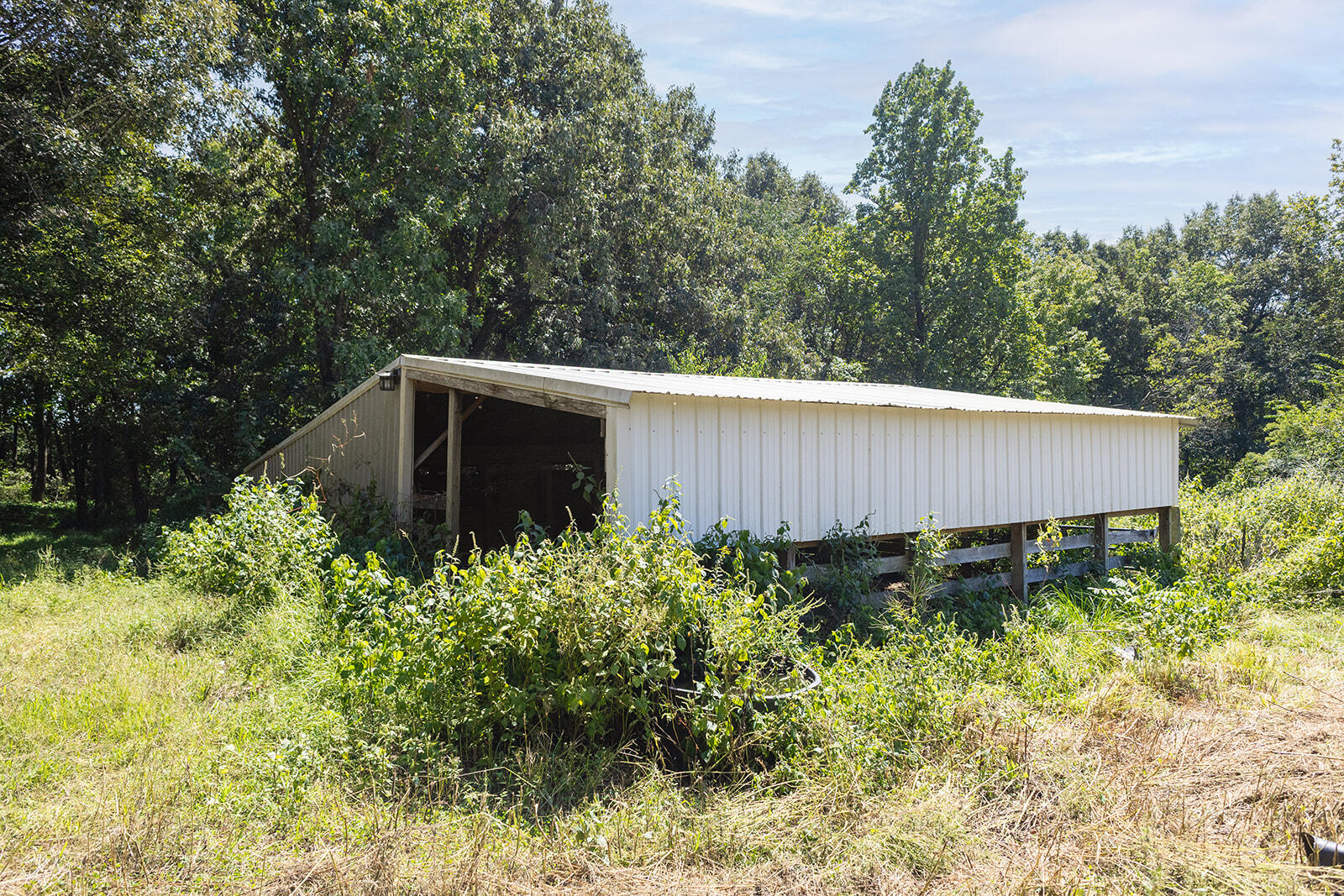 3100 Old Dukedom Road