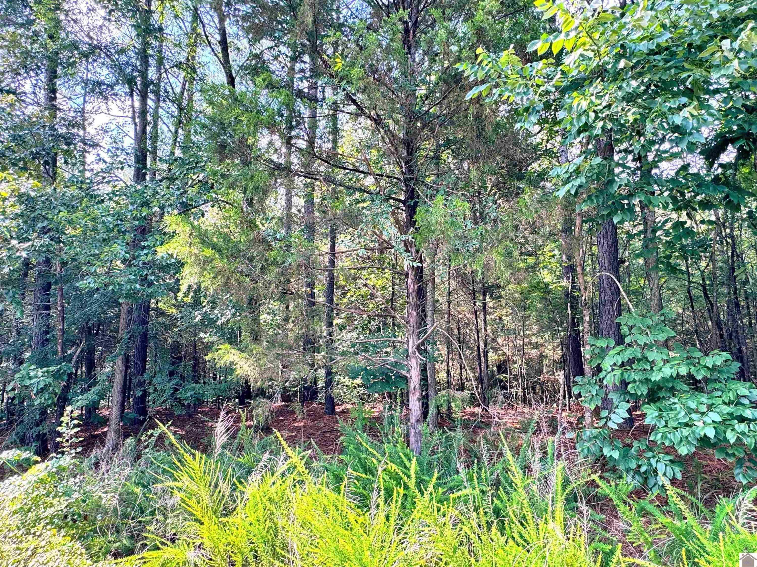 00 Oakview Lane, 33, 34, 35 Lots