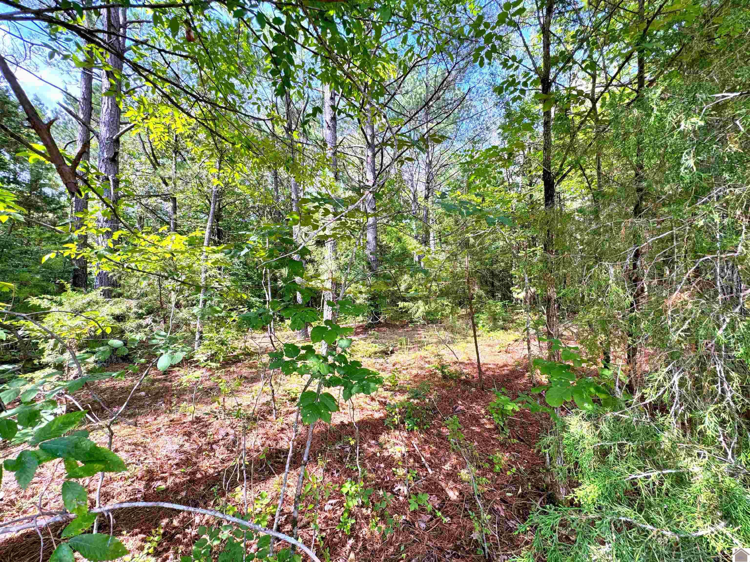 00 Oakview Lane, 33, 34, 35 Lots