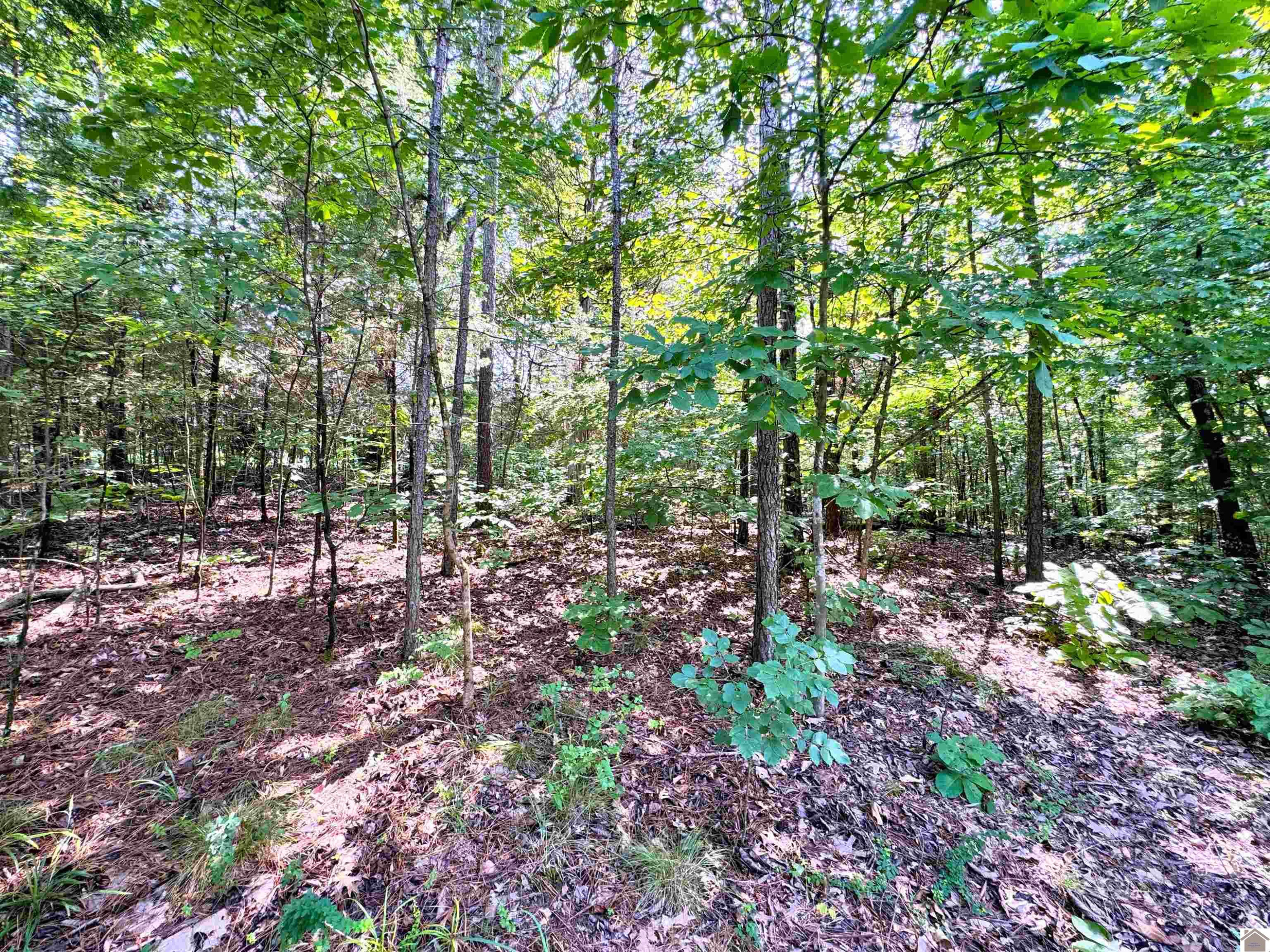 00 Oakview Lane, 33, 34, 35 Lots