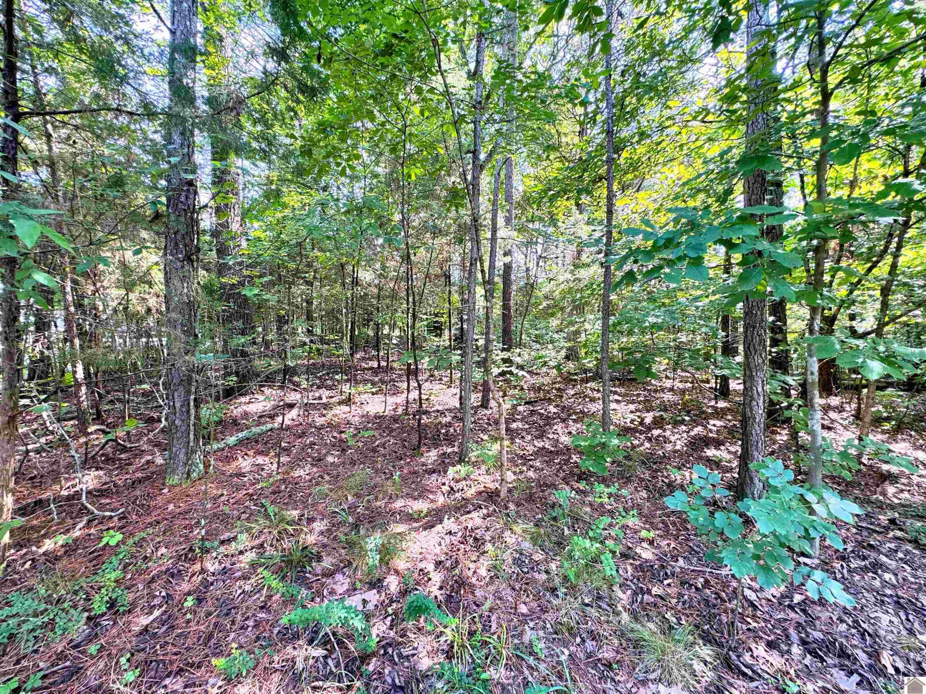 00 Oakview Lane, 33, 34, 35 Lots