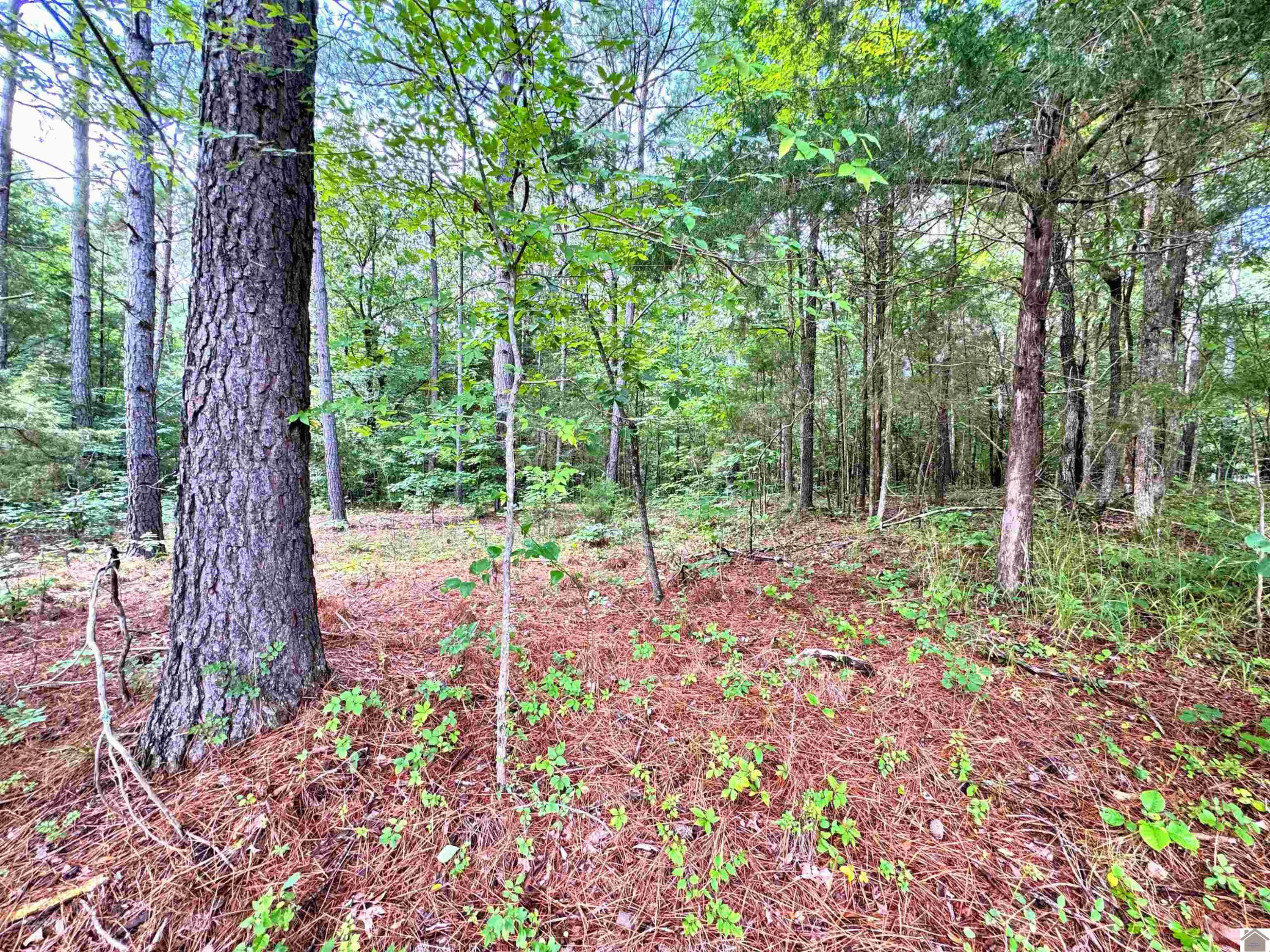 00 Oakview Lane, 33, 34, 35 Lots