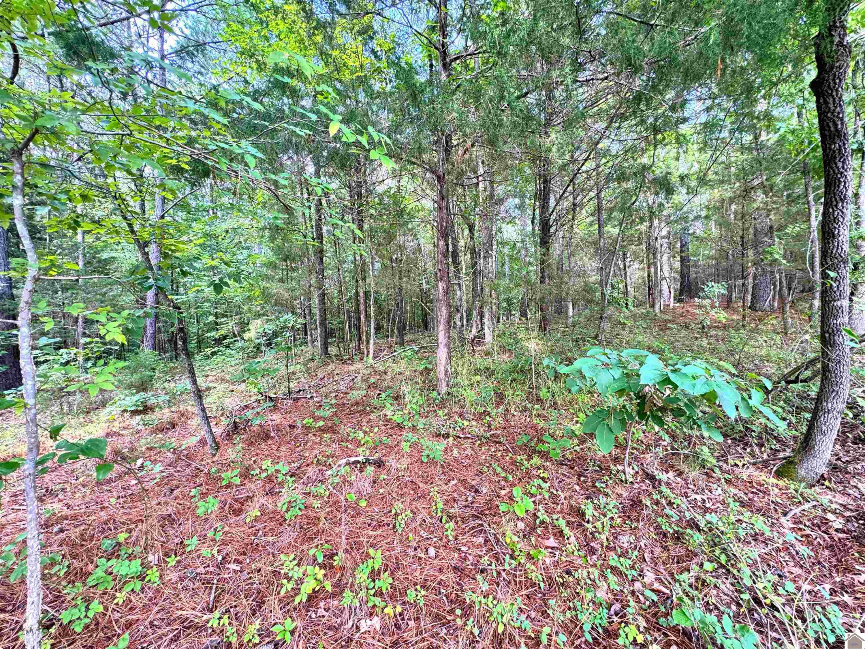 00 Oakview Lane, 33, 34, 35 Lots