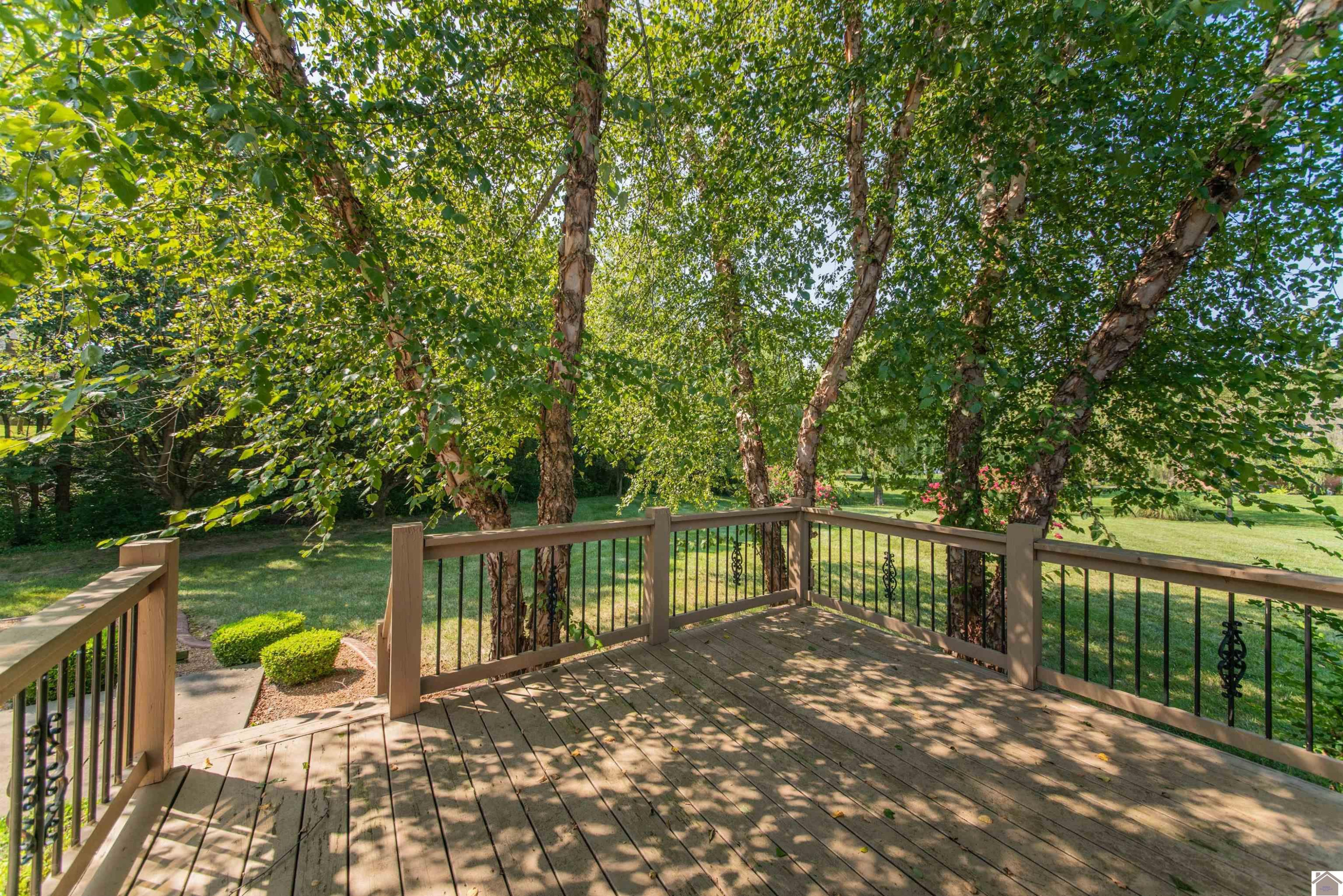 155 Chesley Way