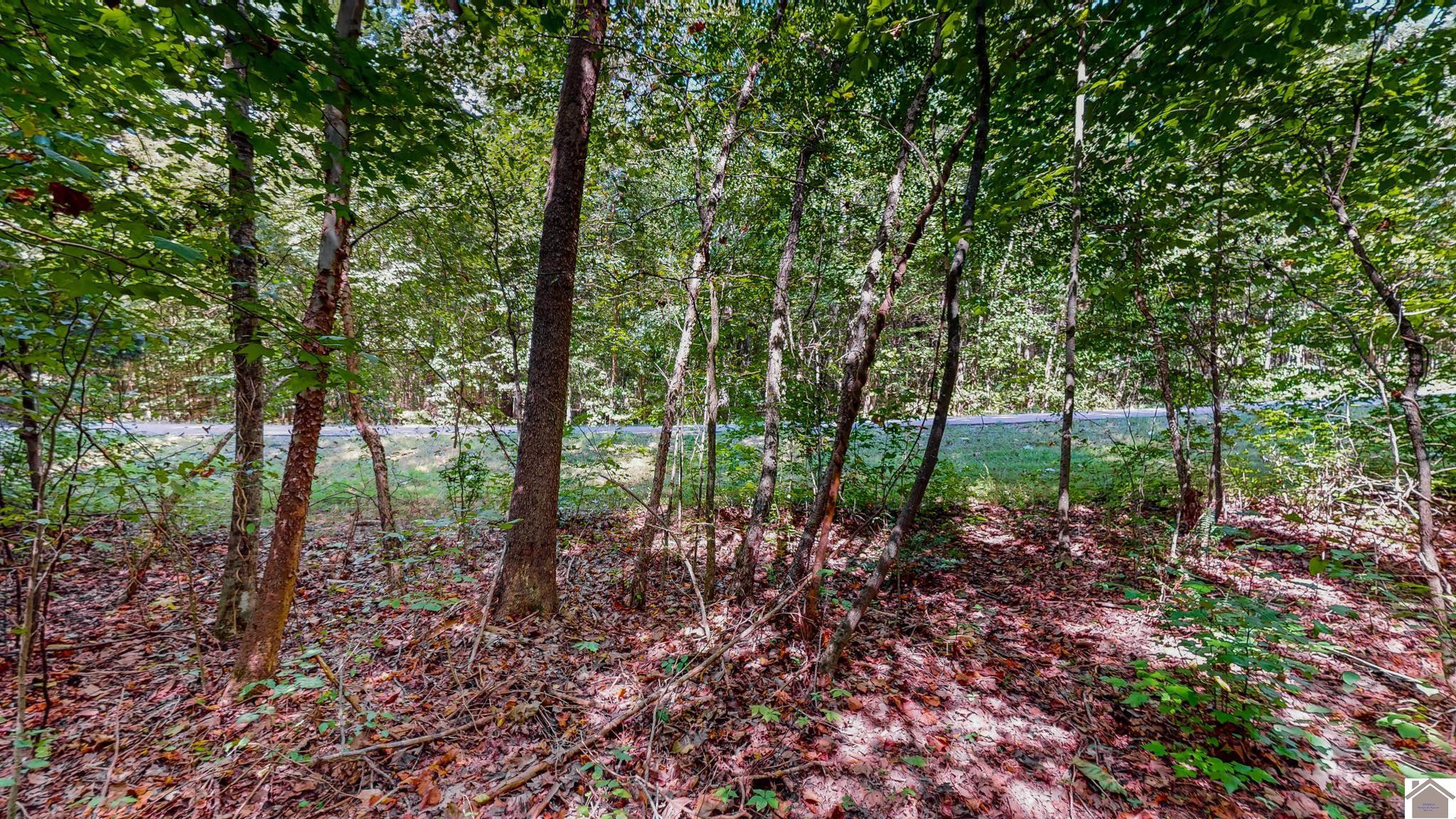 00 Cypress Harbor Court Lot 13