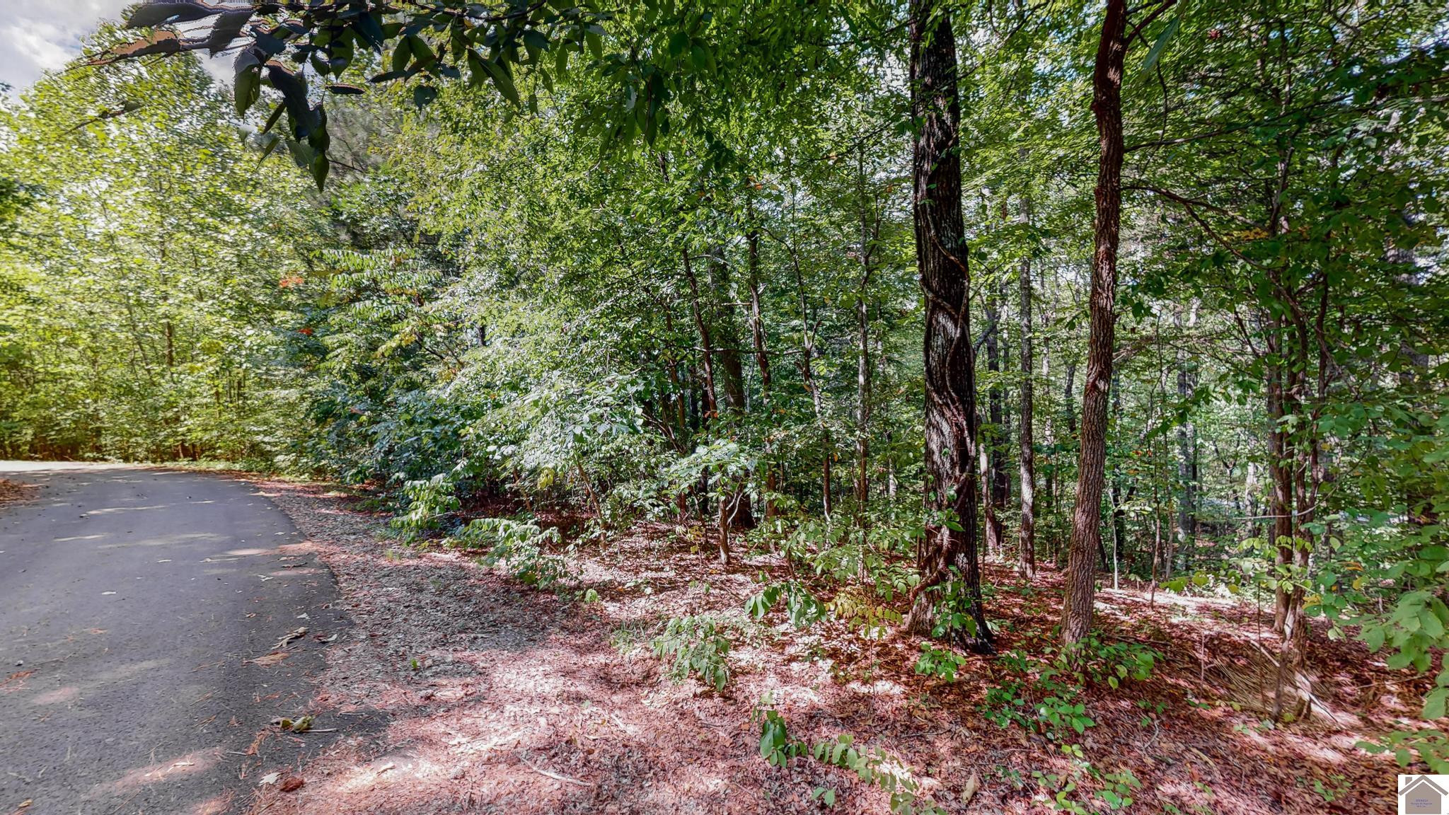 00 Cypress Harbor Court Lot 13