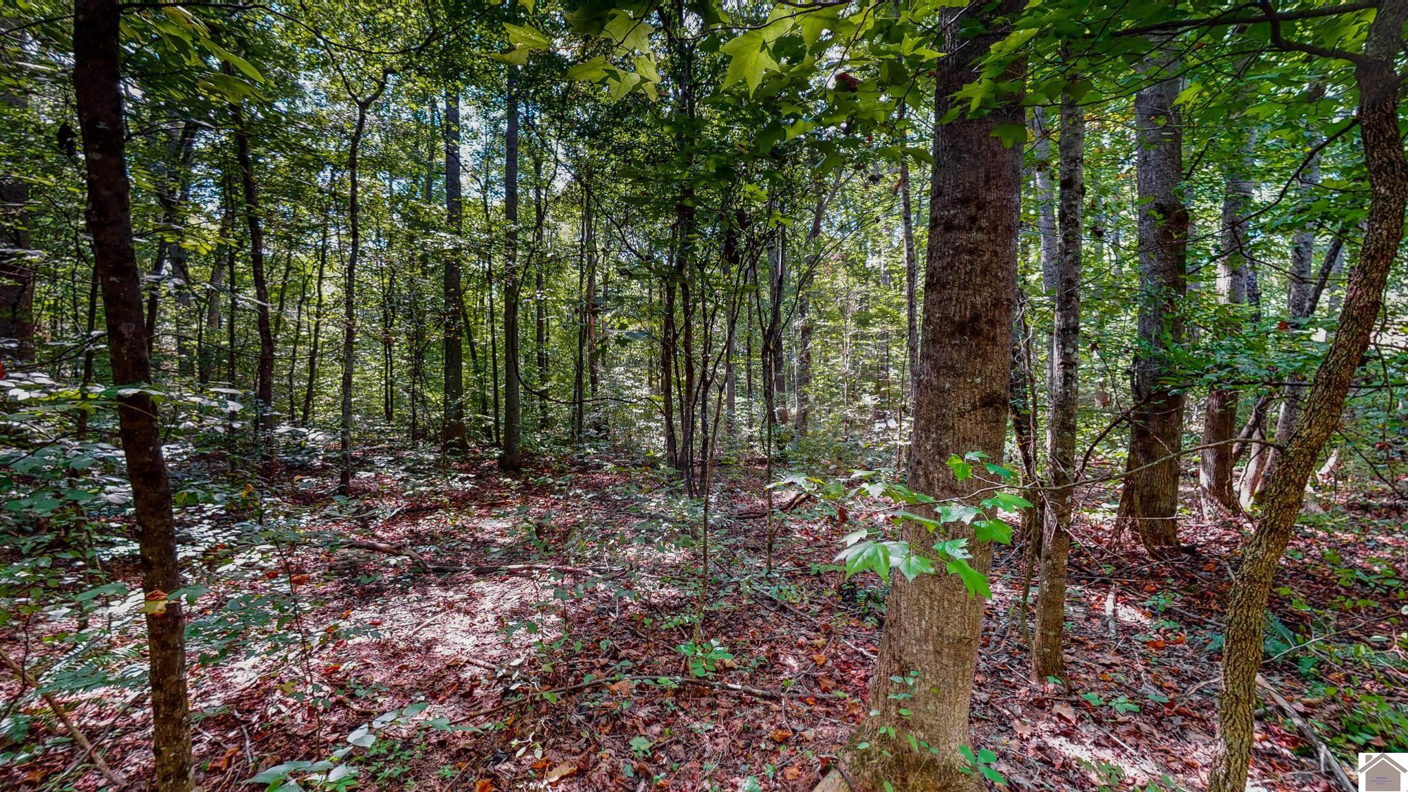 00 Cypress Harbor Court Lot 13