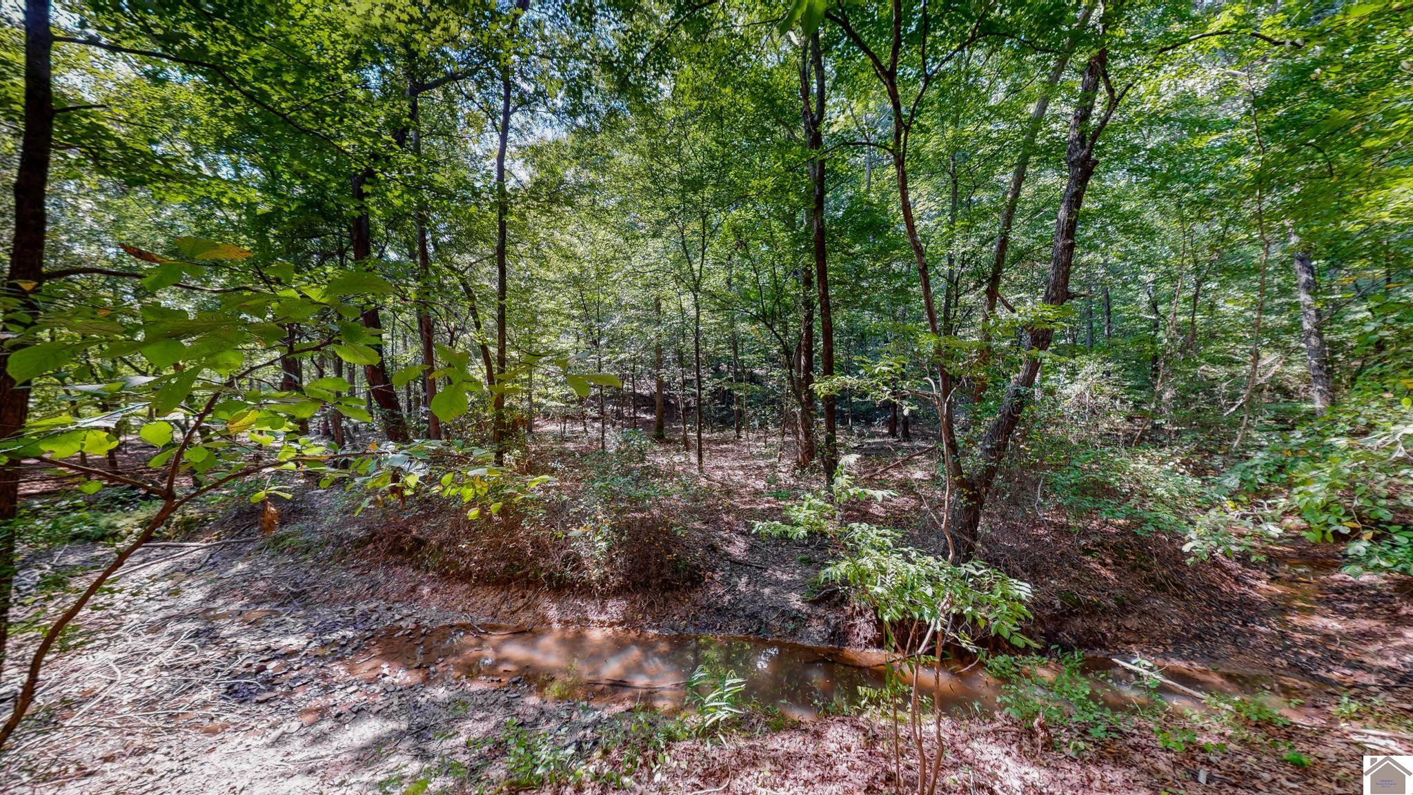 00 Cypress Harbor Court Lot 13