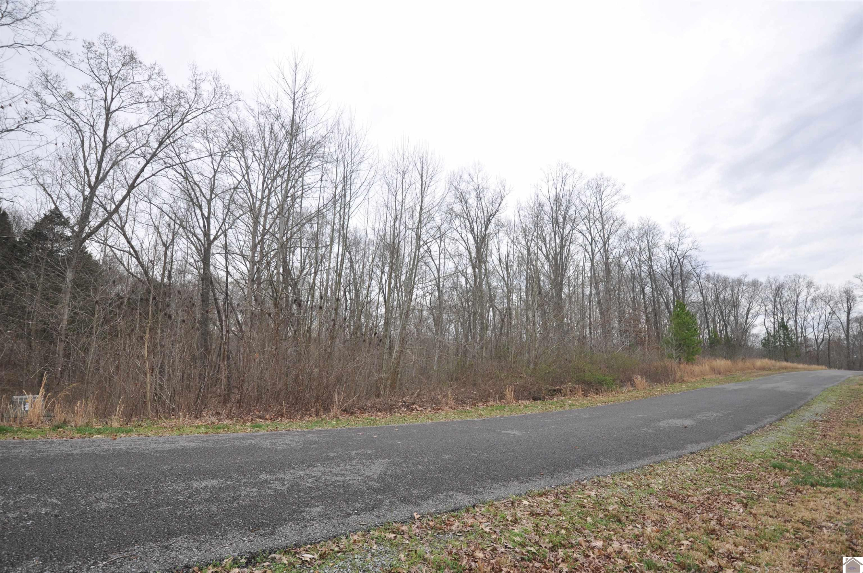 00 Hills Hollow Road Lot 20